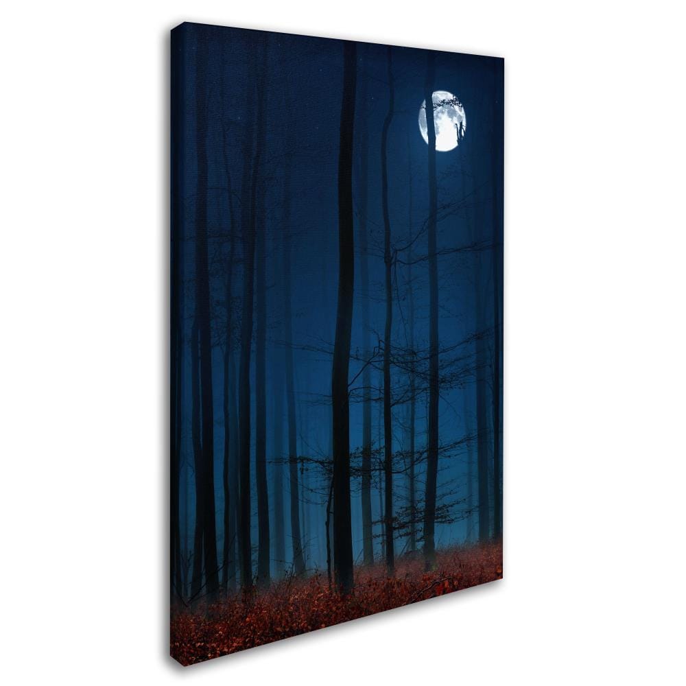 Trademark Fine Art PSL0263-C1219GG Wall-Art - View #2