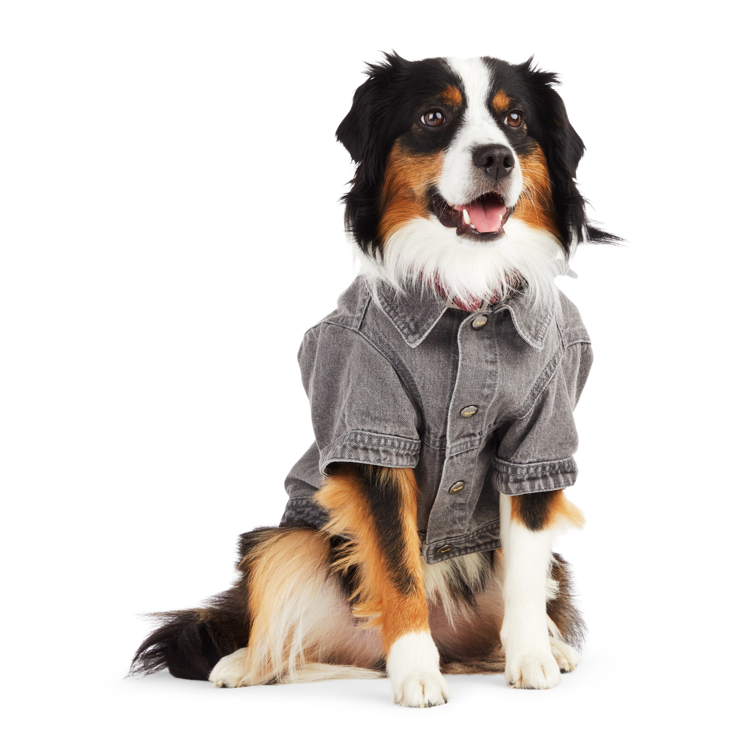 Reddy PTY-23050120XL Dog-Clothing-Acc - View #2