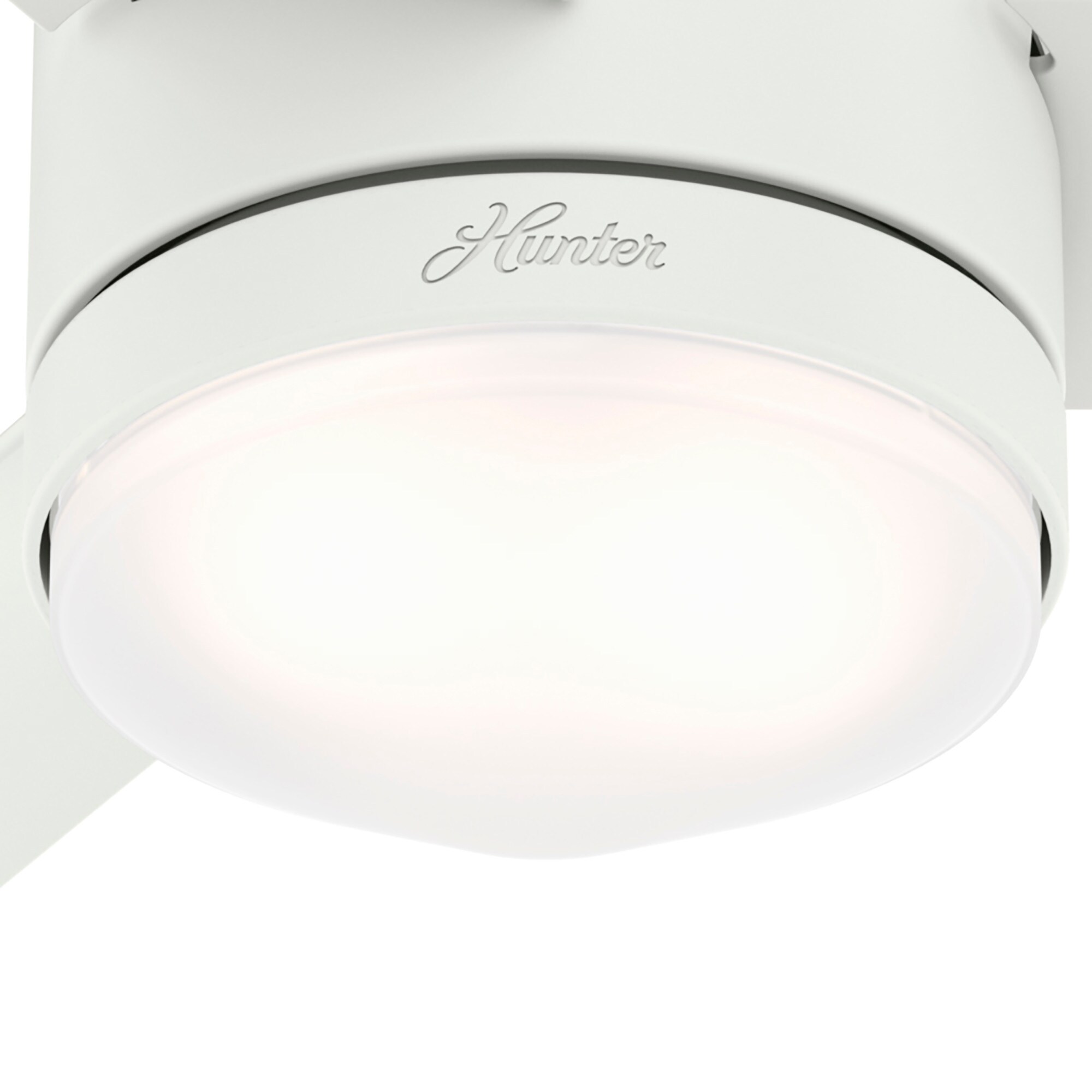 Hunter 50022 Ceiling-Fans - View #18