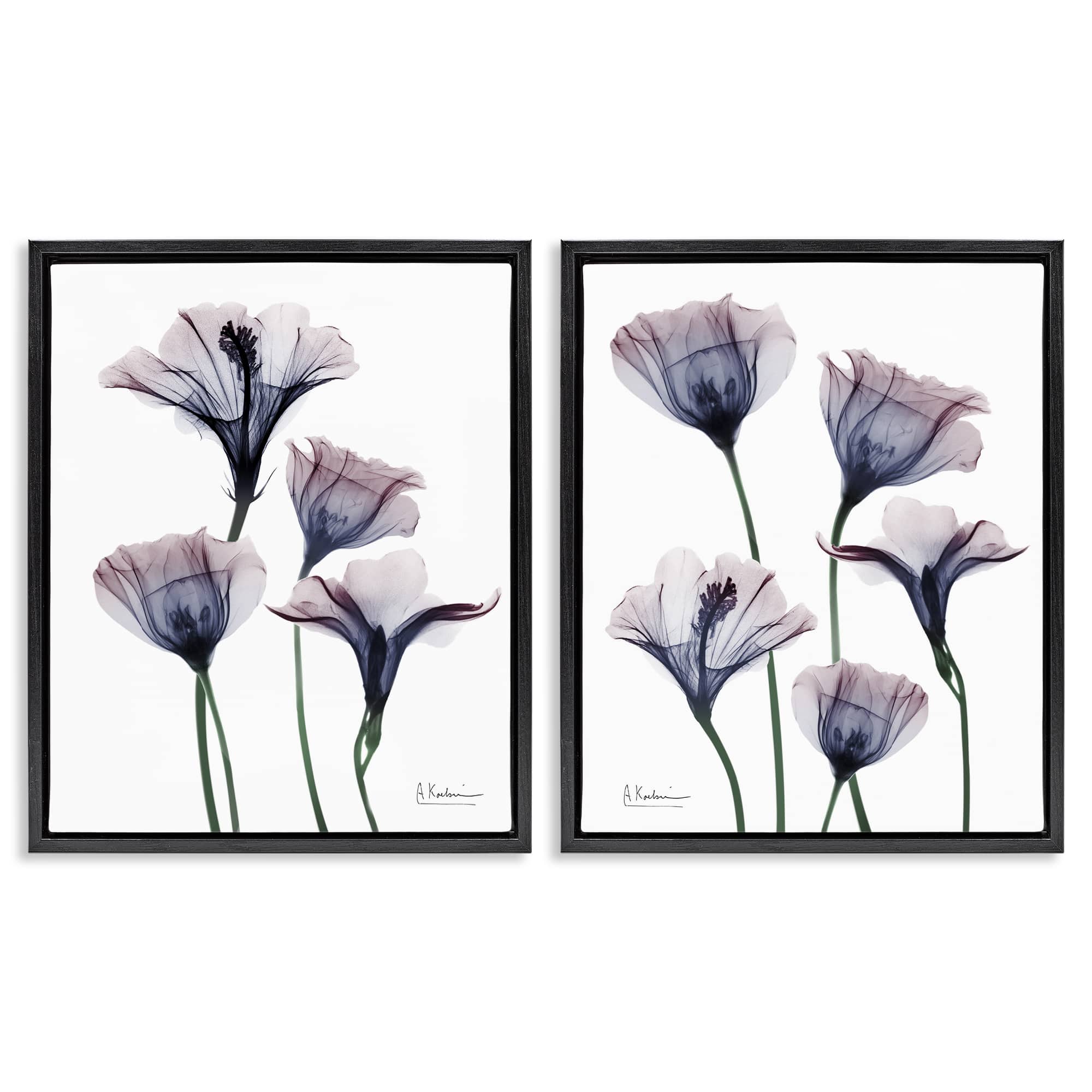 Stupell Industries B2-702-FFB-2PC-24X30 Bountiful Dusk Lilies 2 Piece Black Framed Floater Canvas Set By Albert Koetsier 31 x 25