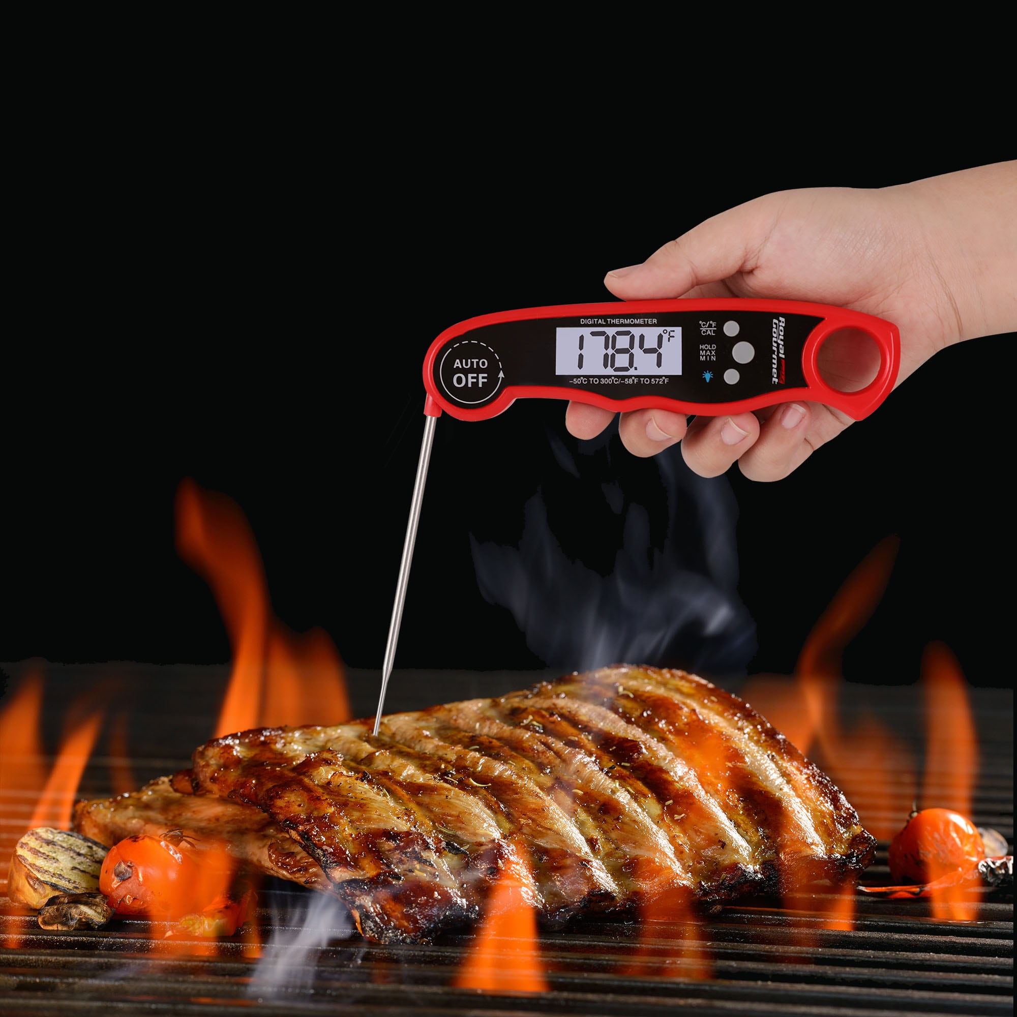Meat Food Thermometer, Digital Milk Thermometer, Candy Candle Thermometer,  Cooking Kitchen BBQ Grill Thermometer, Probe Instant Read Thermometer for  Liquids Deep Fry Roast Baking Temperature : : Home