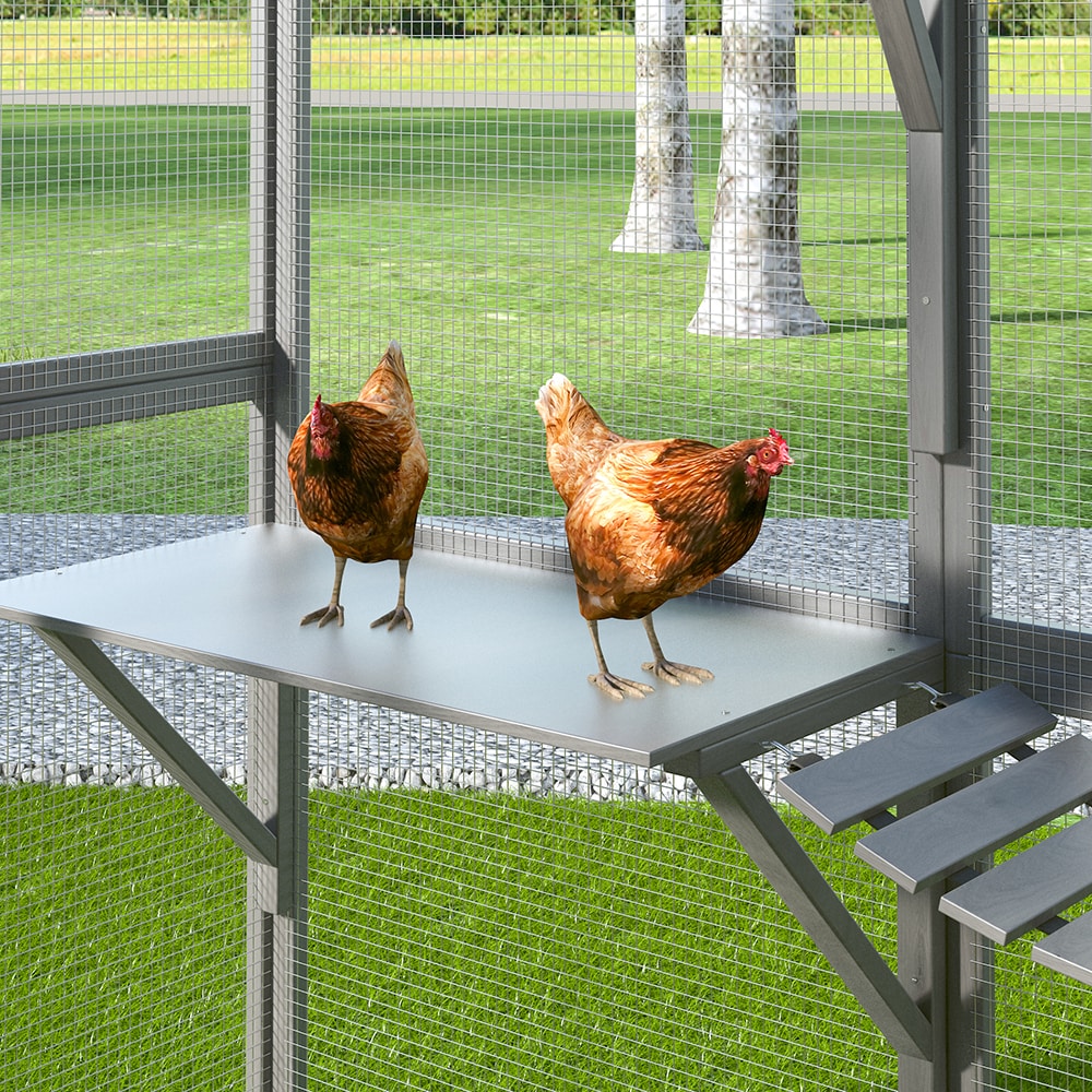 Homsee C-KF150158-05-AB Chicken-Coops-Rabbit-Hutches - View #16