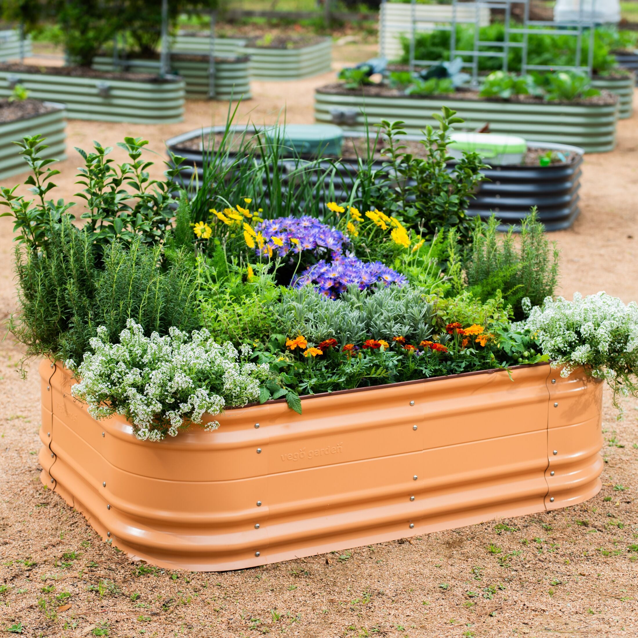 Vego Garden VB6N117TCG2 Raised-Garden-Beds - View #3