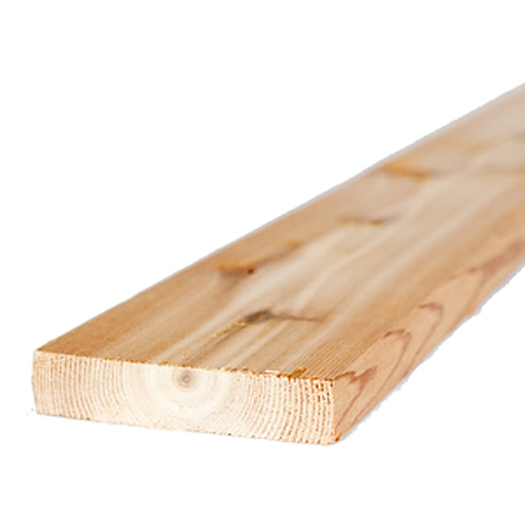 12 Pack: Lyman 4″ Cedar Wood Blanks