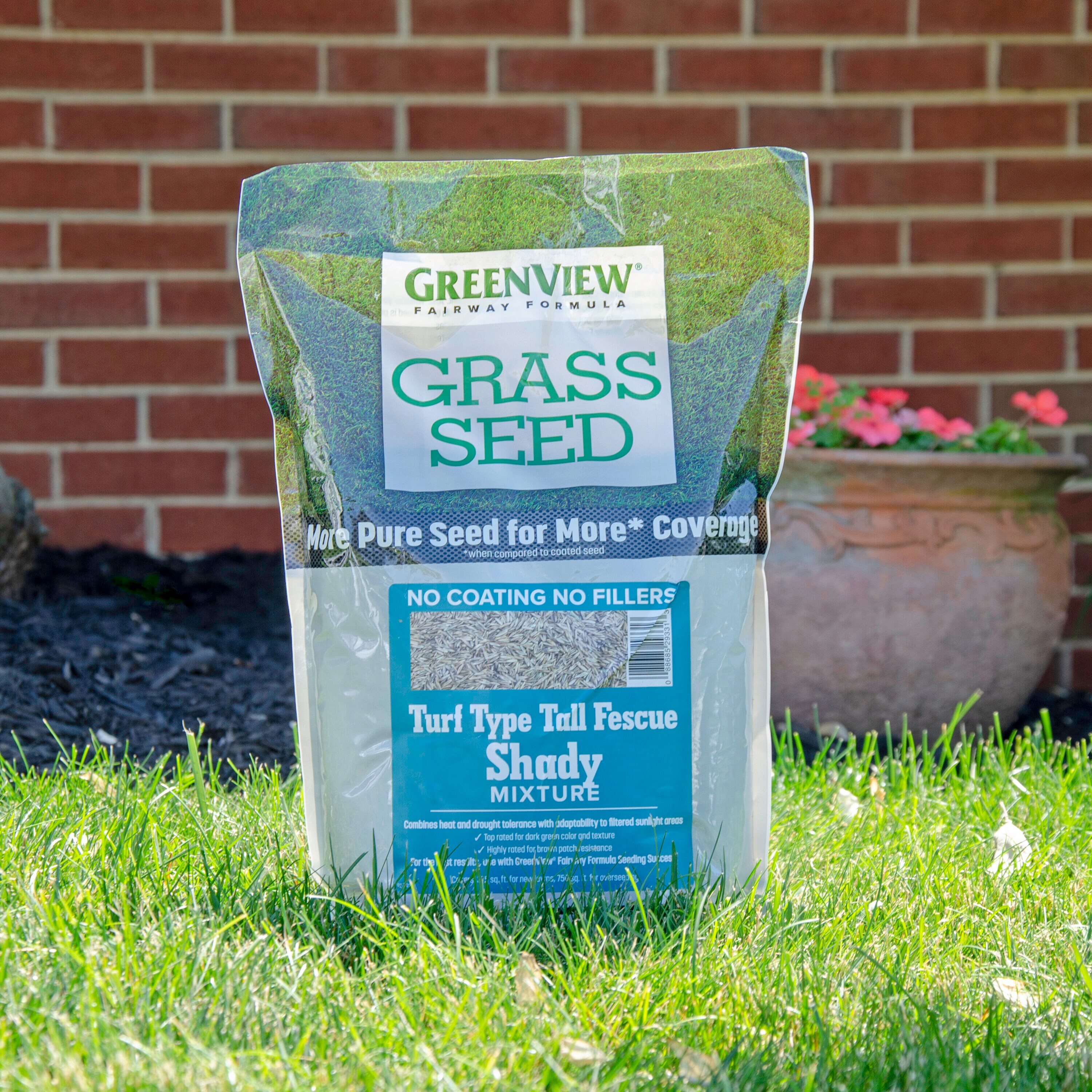 Greenview Fairway Formula Turf Type Tall Fescue Shady 3 Lb Mixture Grass Seed In The Grass Seed 3760