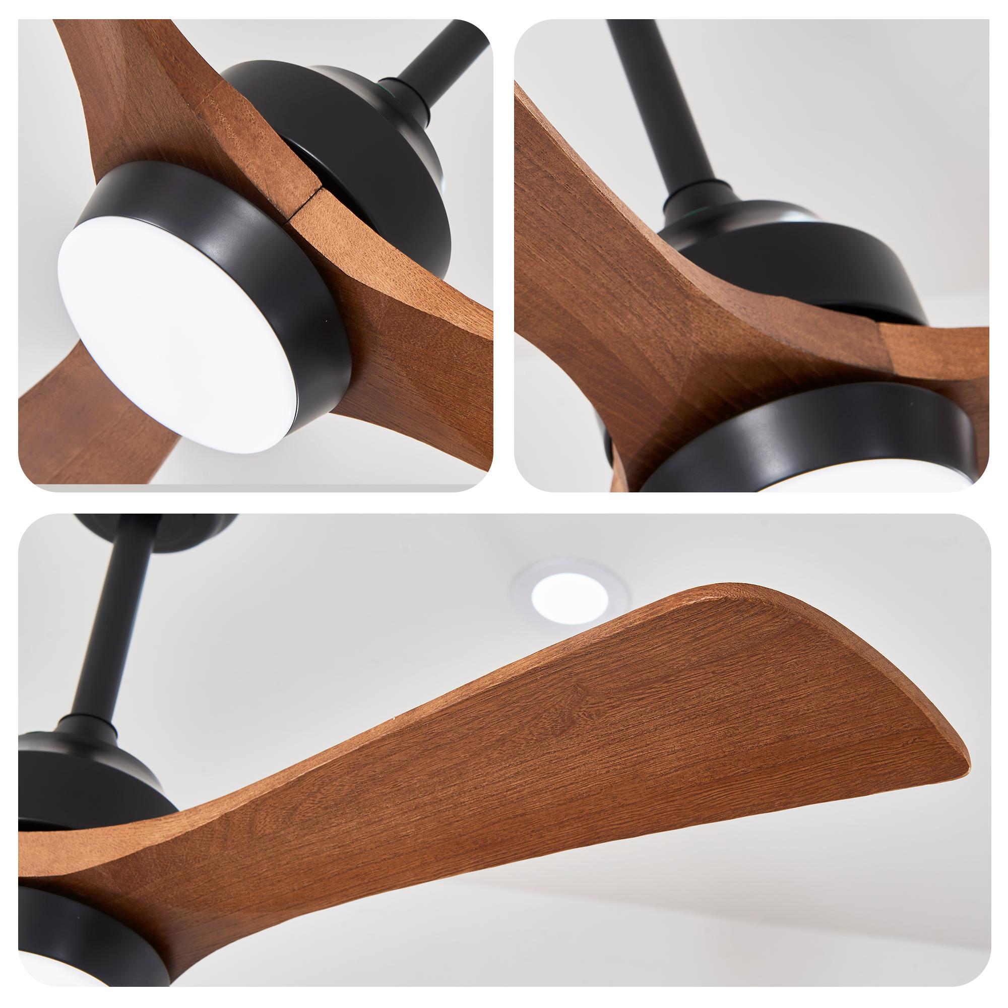 Bayfeve BF-460815-MP Ceiling-Fans - View #20