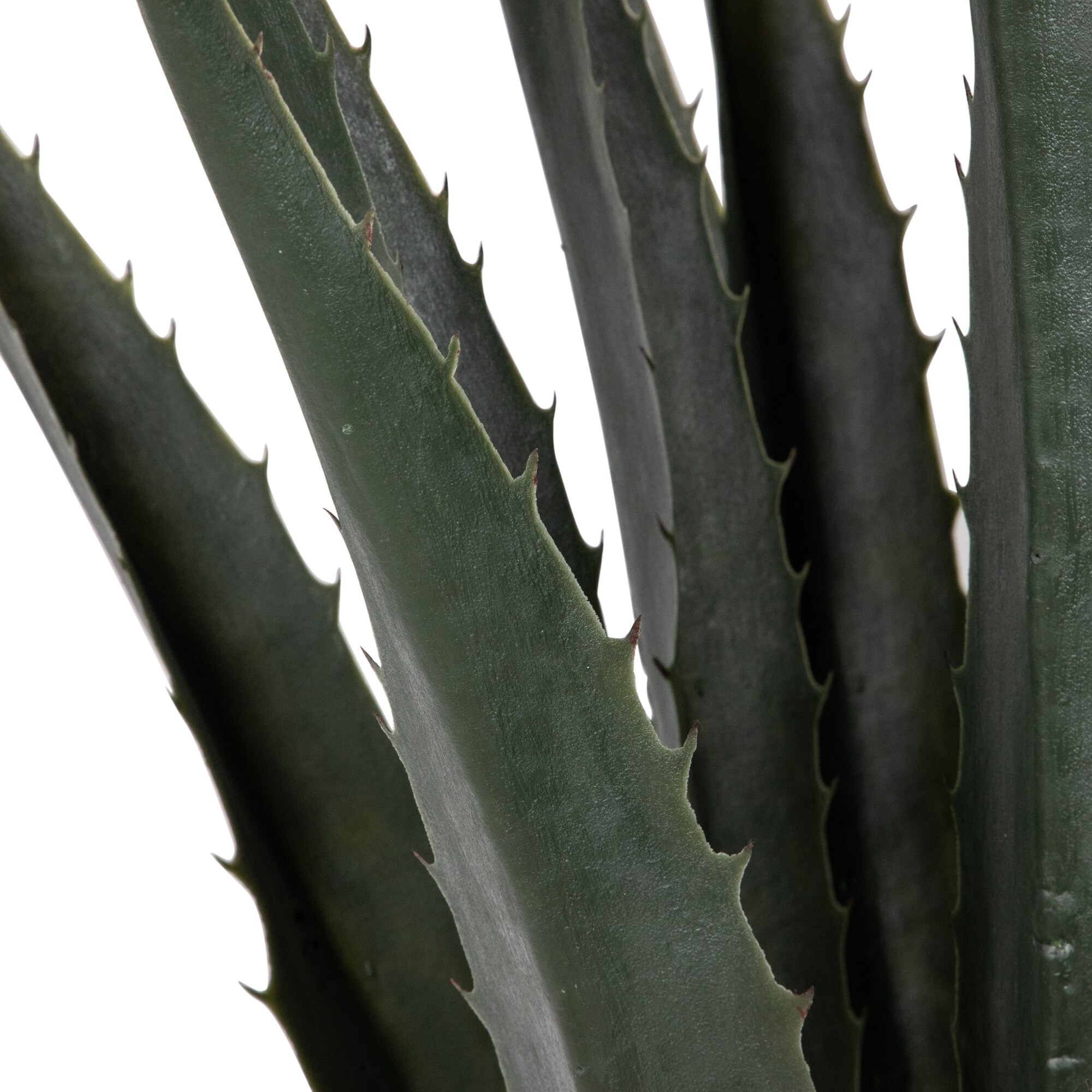 Northlight 32036242 Artificial-Plants-Trees - View #4