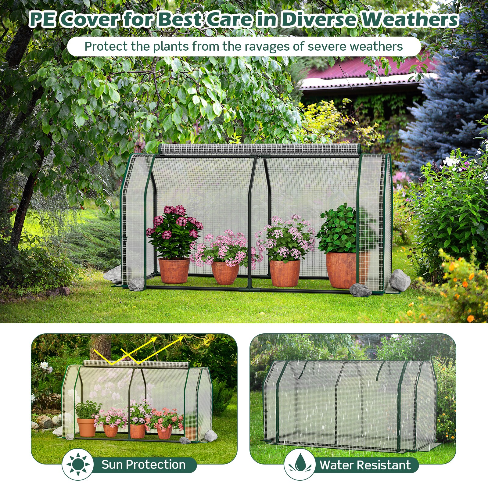 Slickblue D-CO-2693TG greenhouses - View #4