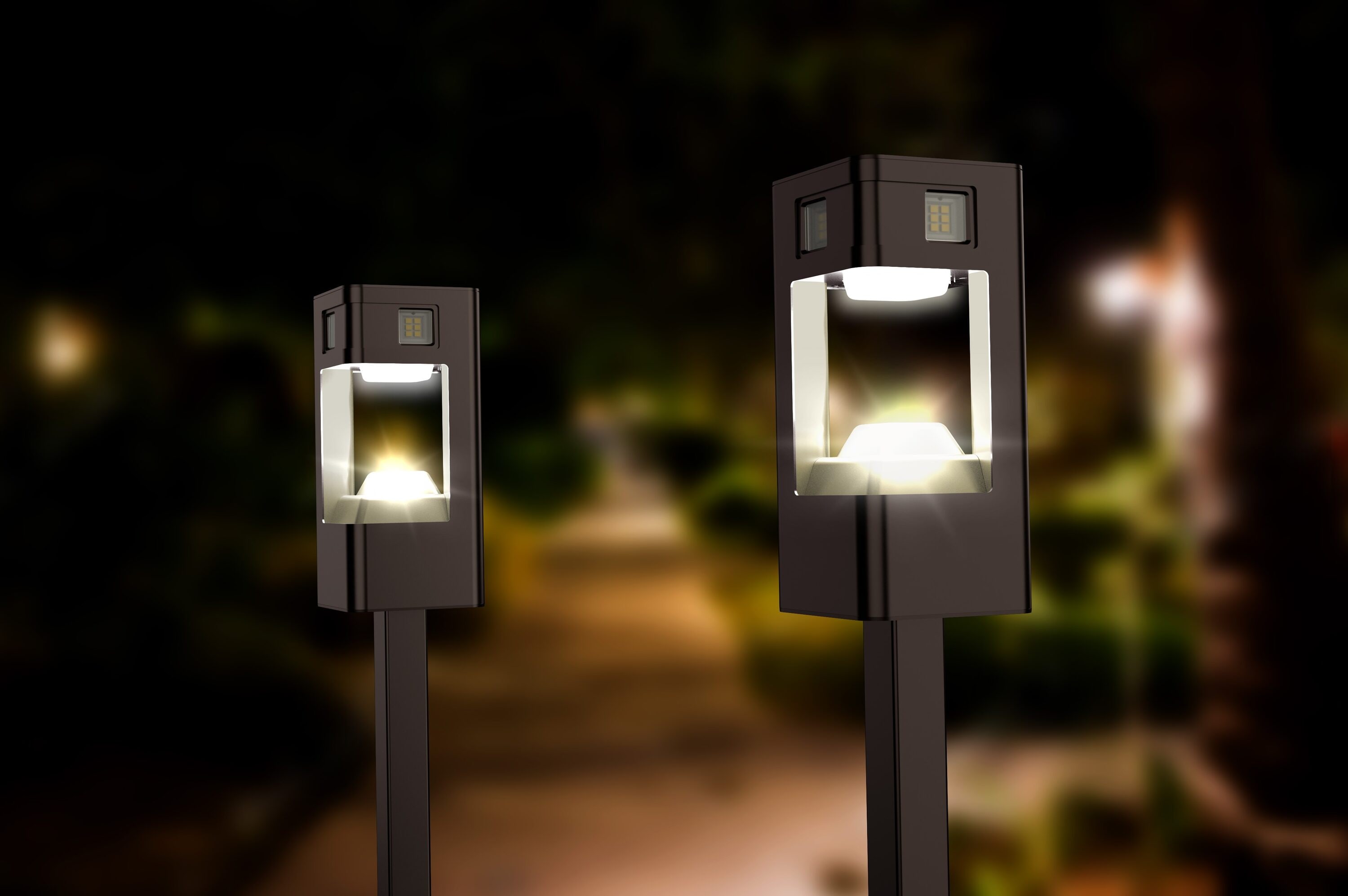 IX1 LL1PKPL250X Path-Lights - View #3