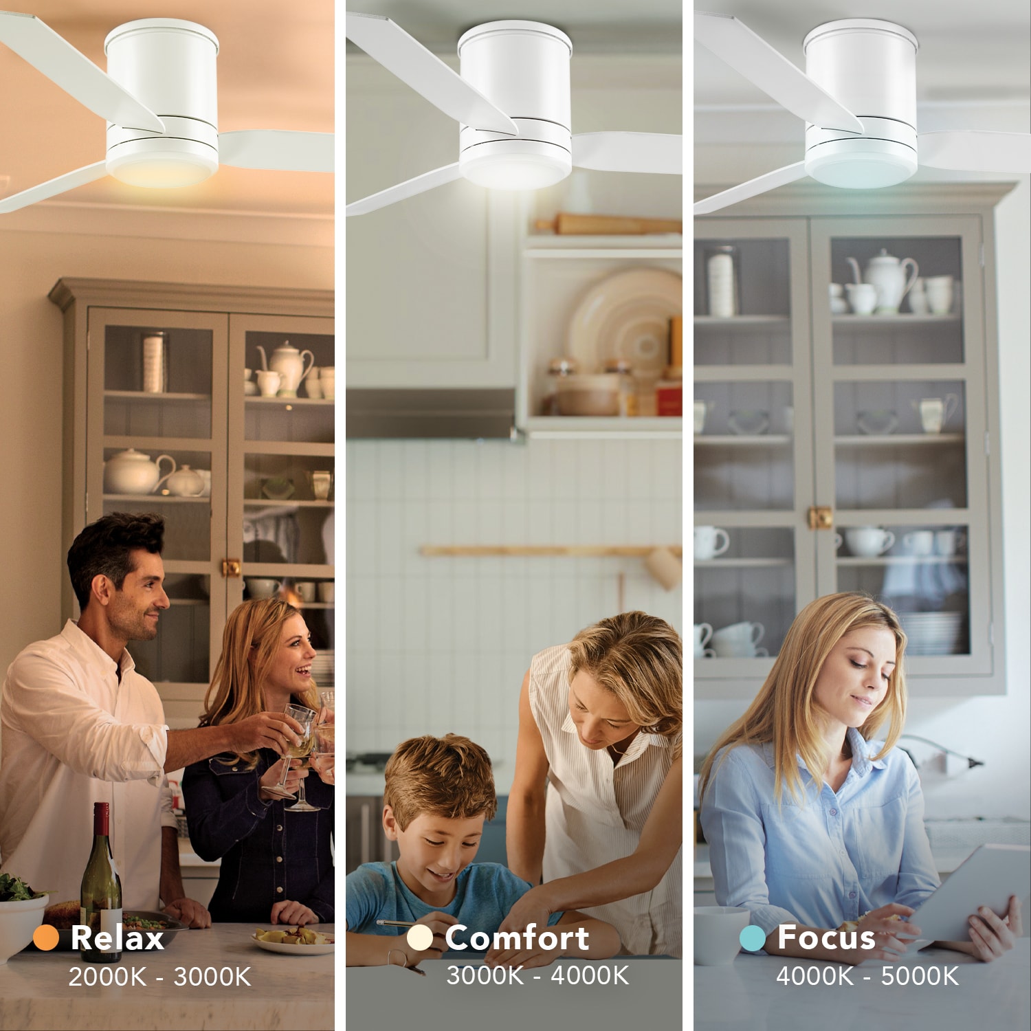 Globe Electric 37000064 Ceiling-Fans - View #7