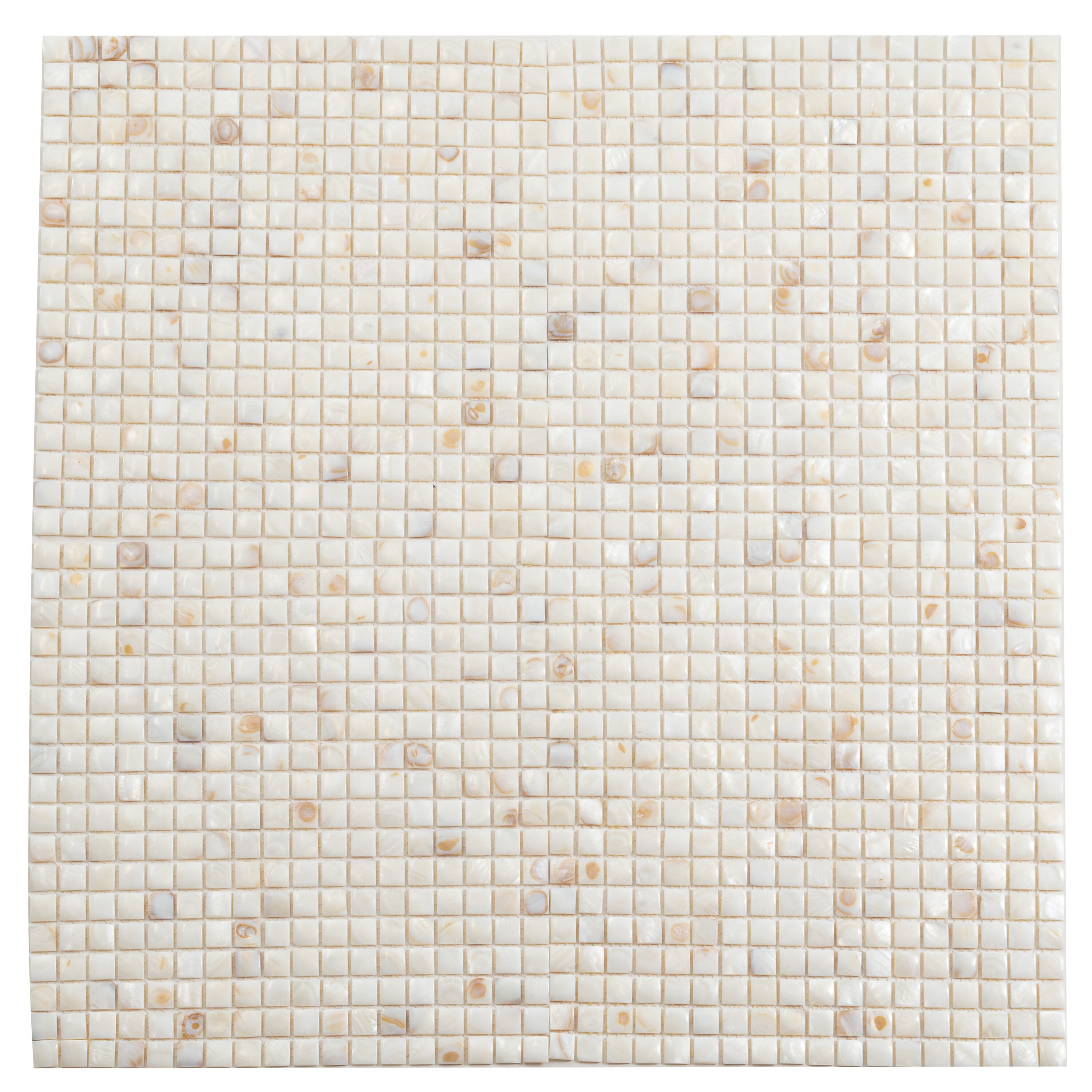 Apollo Tile APLSME88001BASAMPLE Sample - Wall Beige Natural Shell 4-in x 4-in Polished Patterned Wall Tile