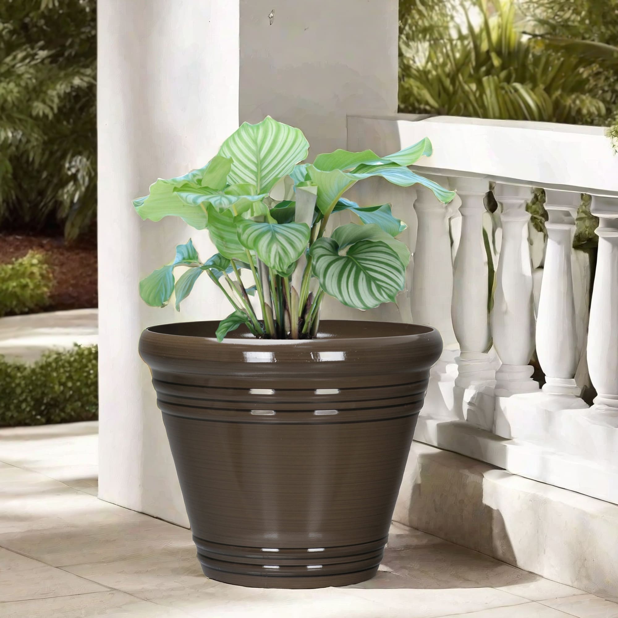 Style Selections PLC1615BNJ Planter-Window-Box - View #2