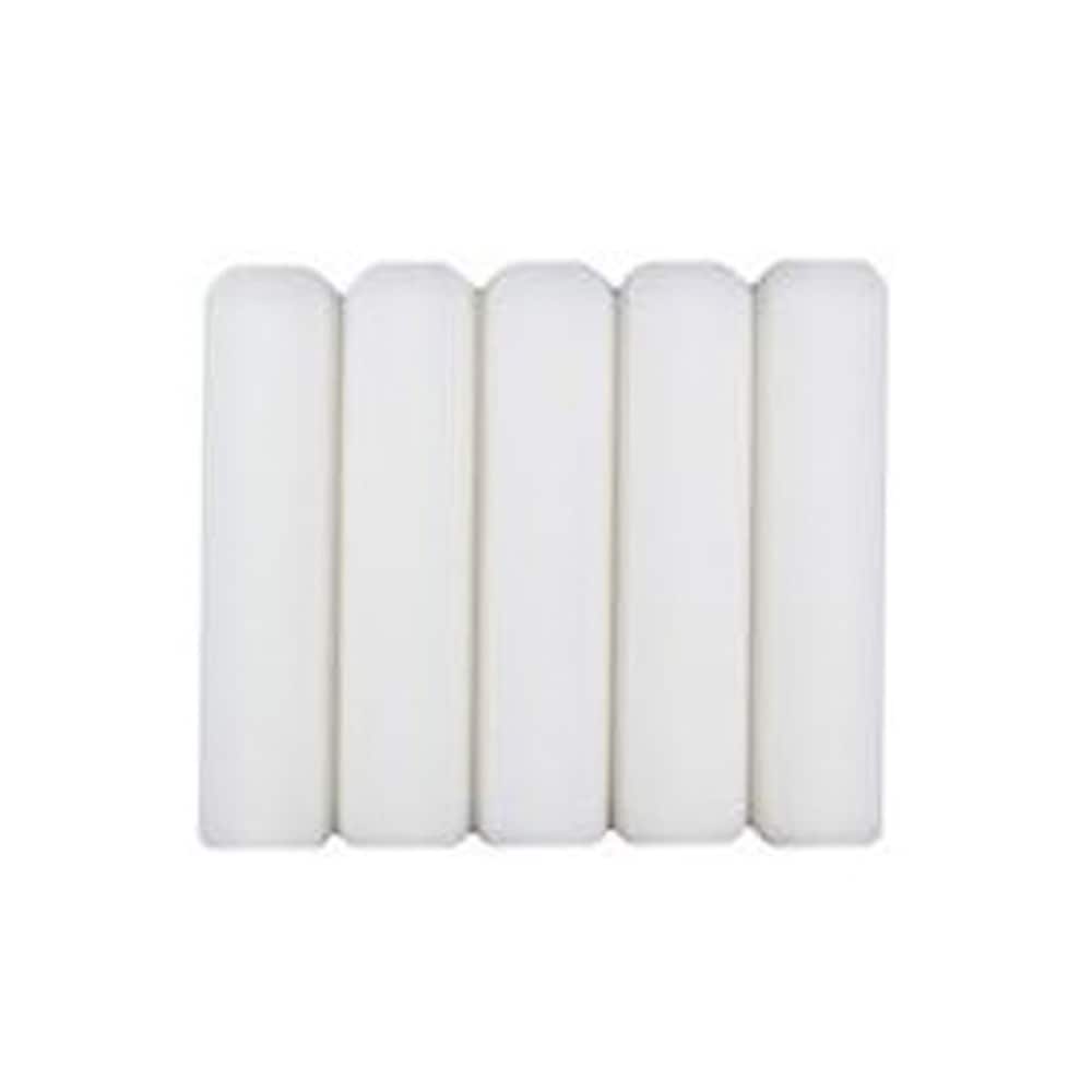 WHIZZ 2-in Touch-Ups and Samples Foam Mini Paint Roller (2-Pack) in the  Mini Paint Rollers department at