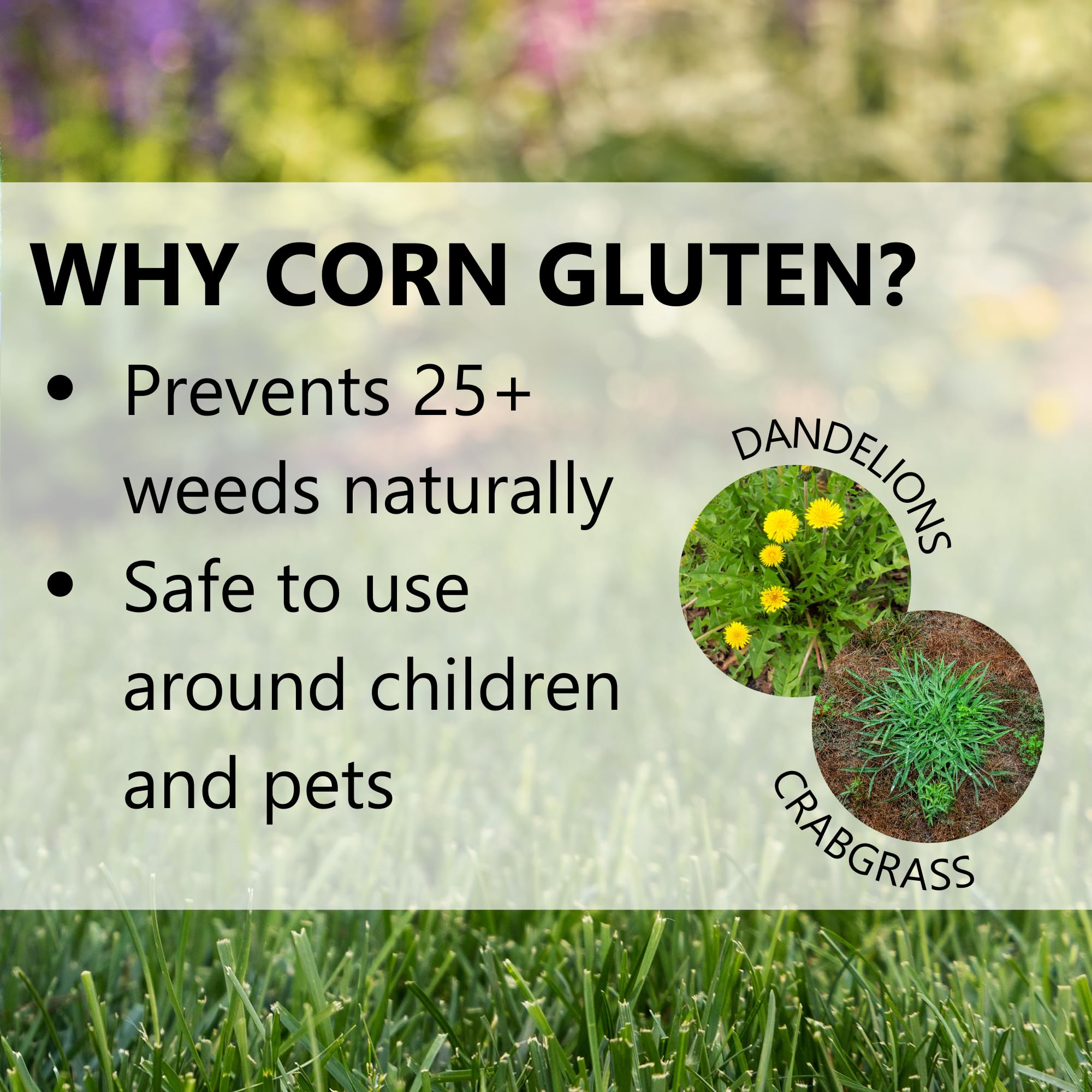 Jonathan Green 11591 Lawn-Fertilizer - View #6