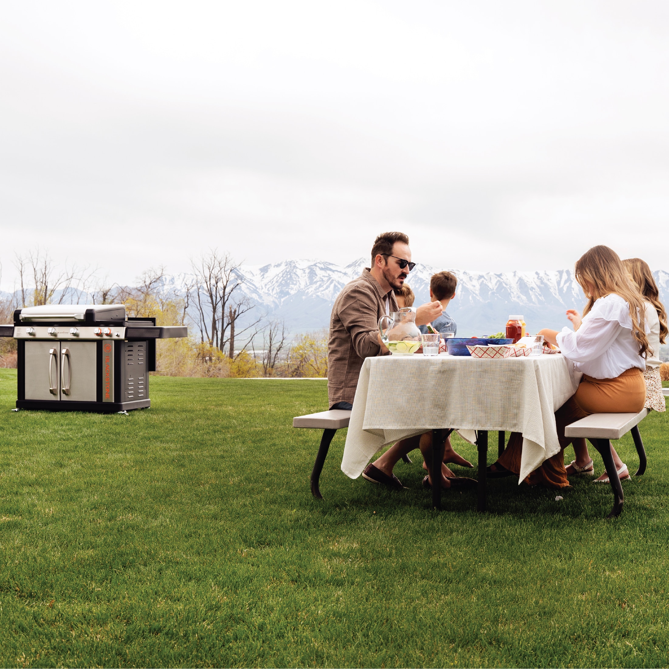 Blackstone 1963 Flat-Top-Grills - View #11