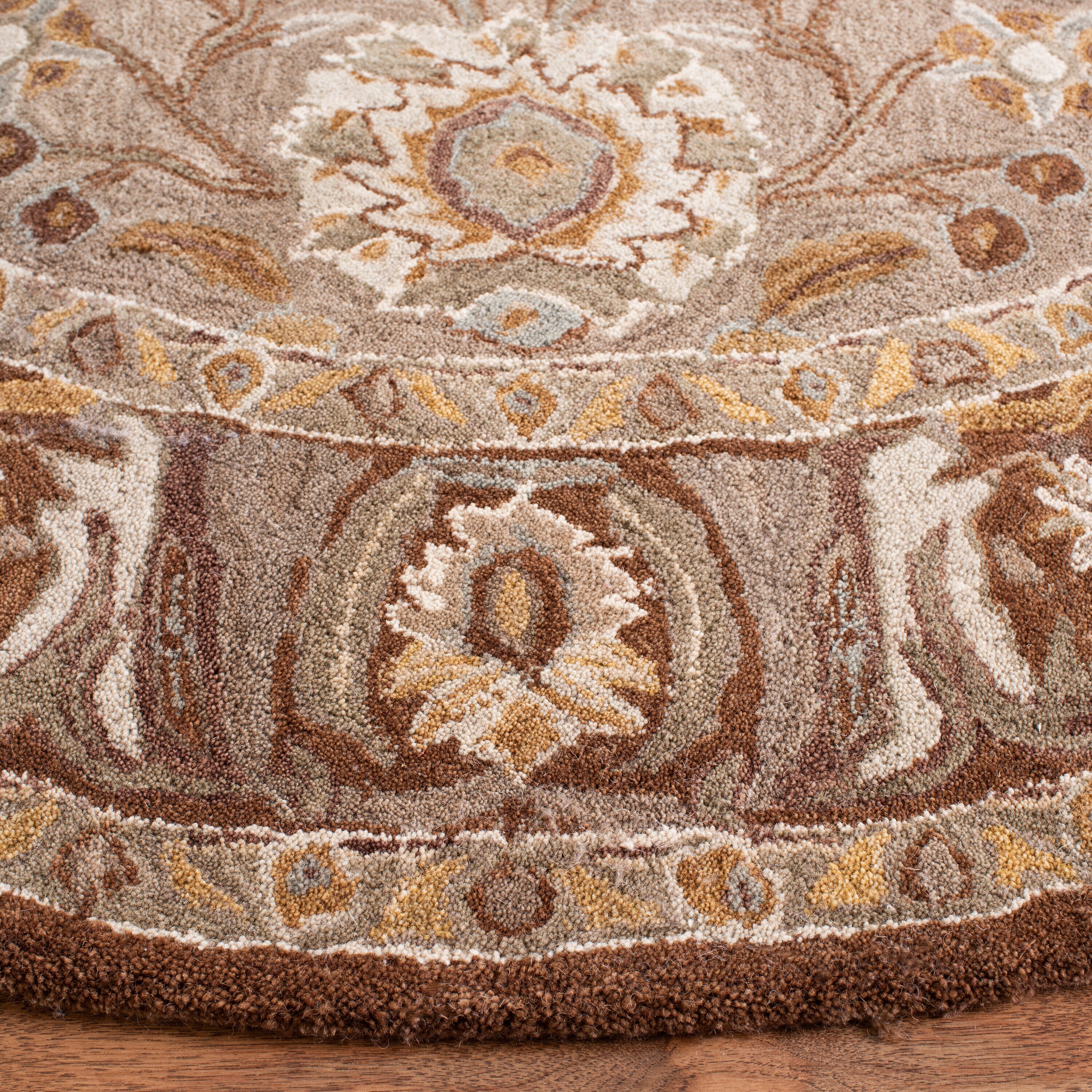 Safavieh AN558A-6R rugs - View #3