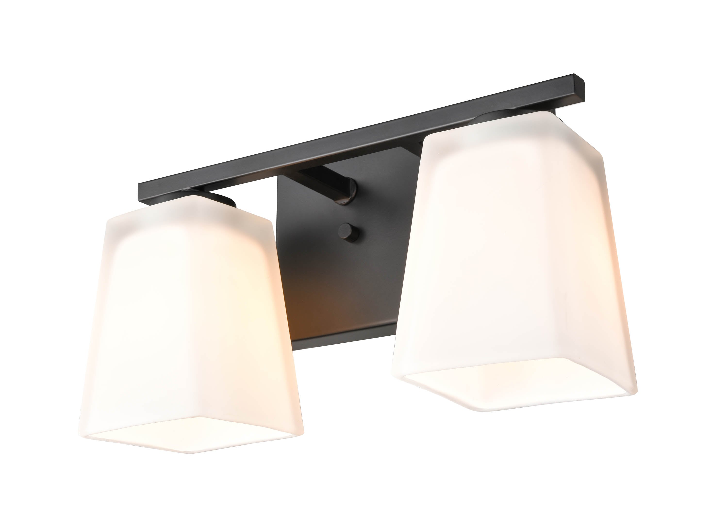 Matte Black 2-Light Vanity Fixture with Frosted Glass Shades
