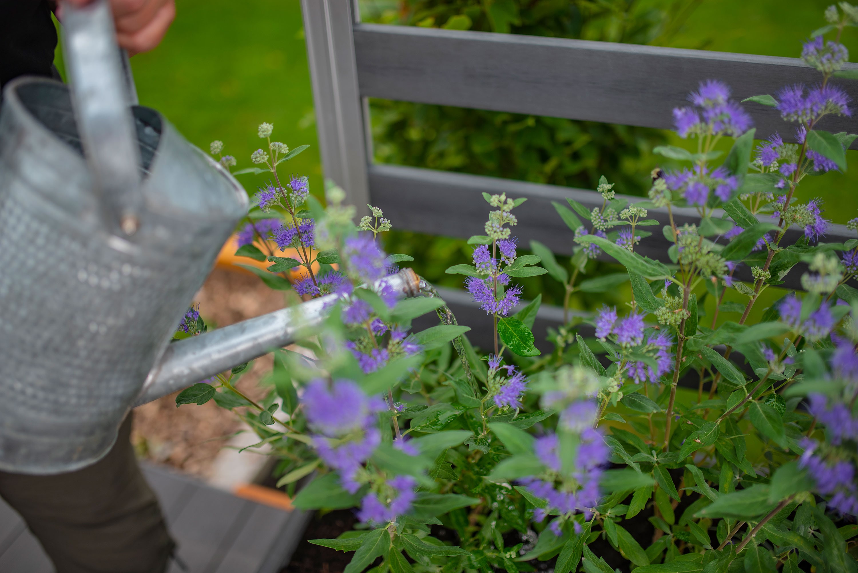 Vita VT17633 Planter-Window-Box - View #5