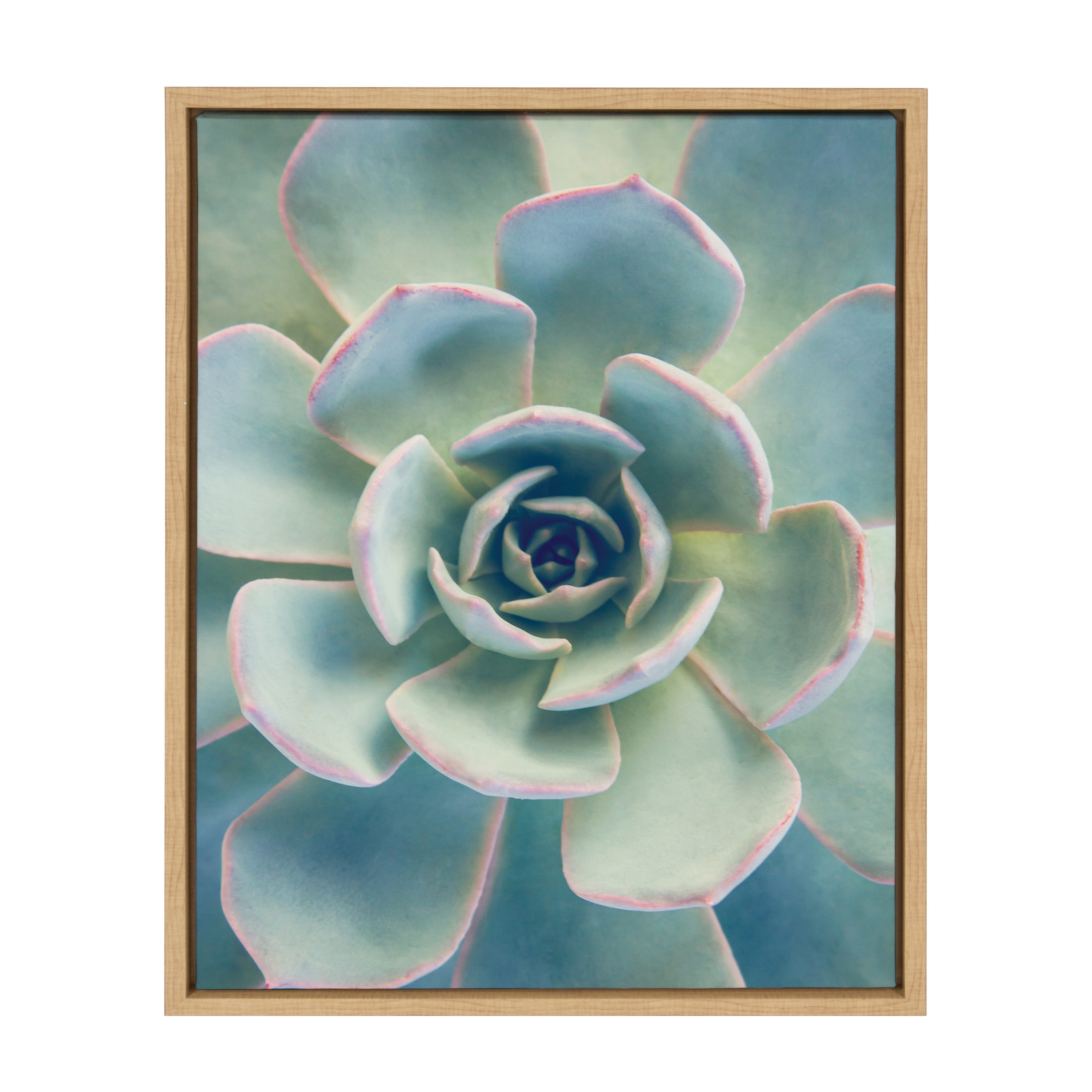 Kate and Laurel 215849 Succulent 7 F21Images Light Brown Plastic Framed 24-Inches H x 18-Inches W Botanical Canvas Print