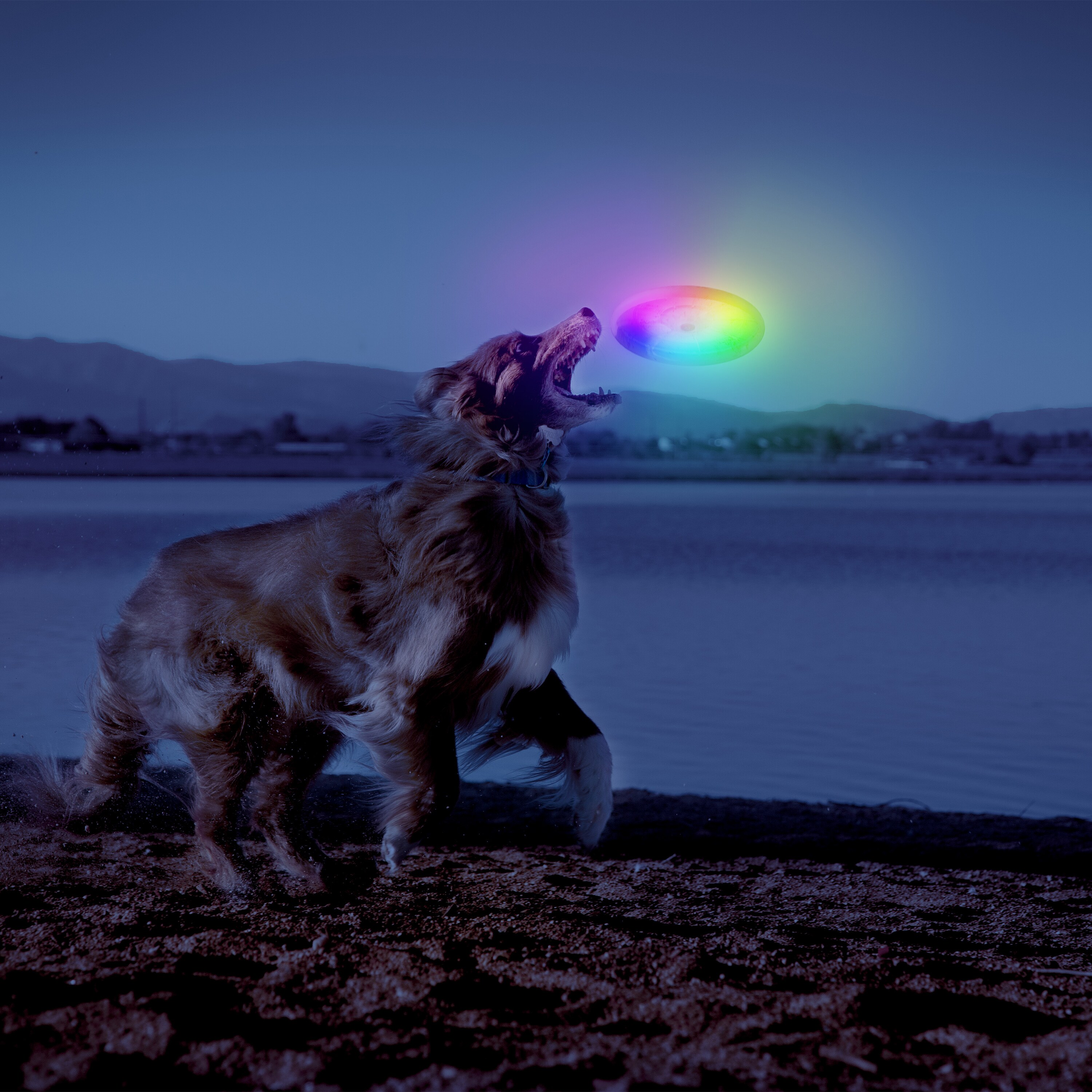 Nite Ize GlowStreak Wild TPR Rubber Dog Toy in the Pet Toys department at