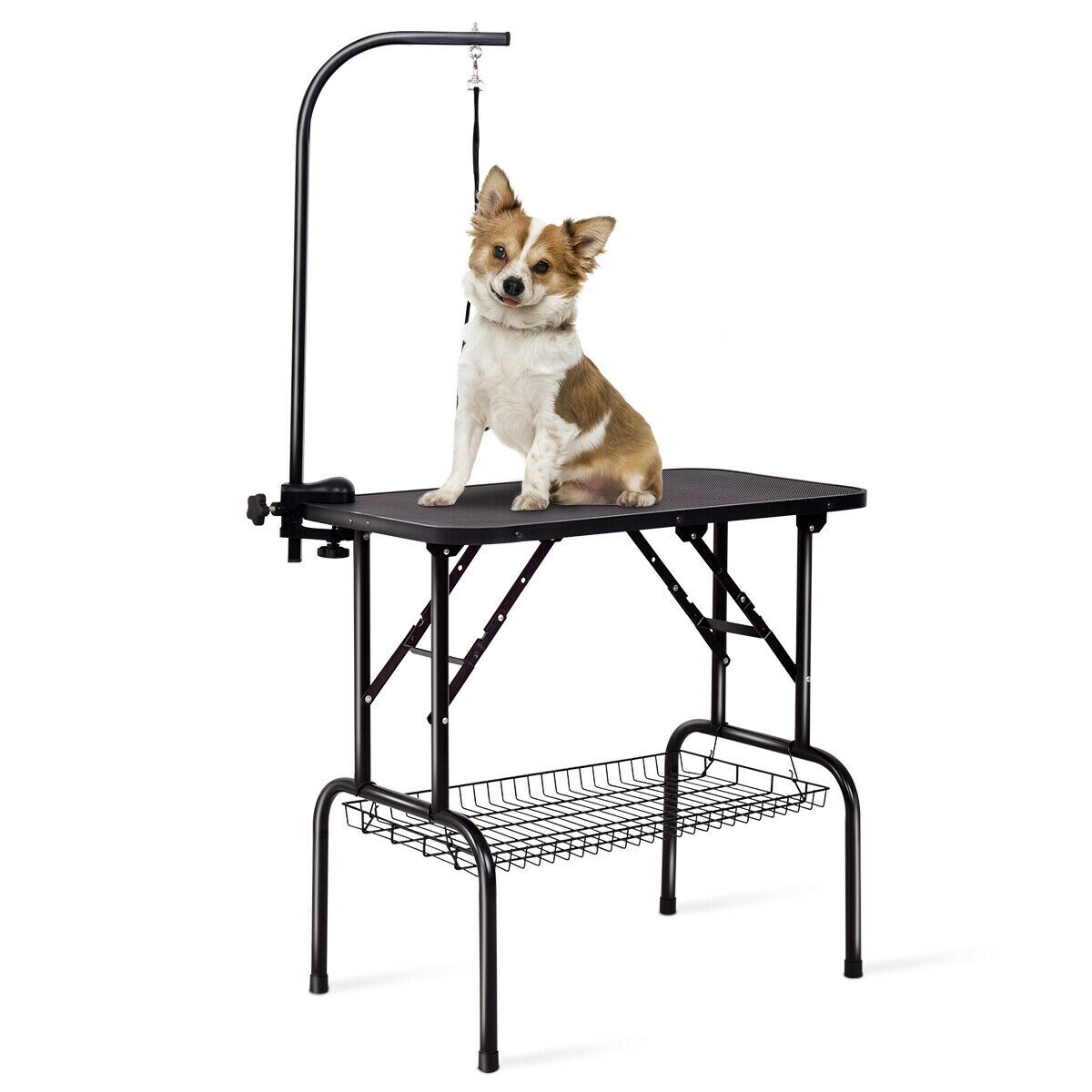 Mondawe Medium Dog Grooming Table - Adjustable Height, Metal Frame, Non-Slip Surface - Blue Stainless Steel | MD-WF2821A