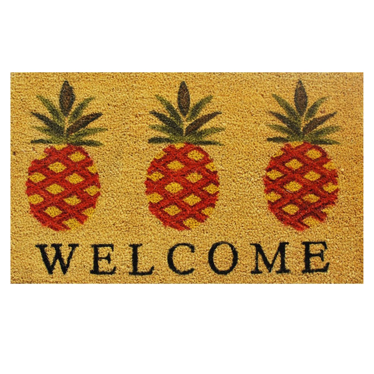 Callowaymills 120351729R 1-ft x 2-ft Multi Coir/Vinyl Rectangular Indoor or outdoor Decorative Welcome Door mat