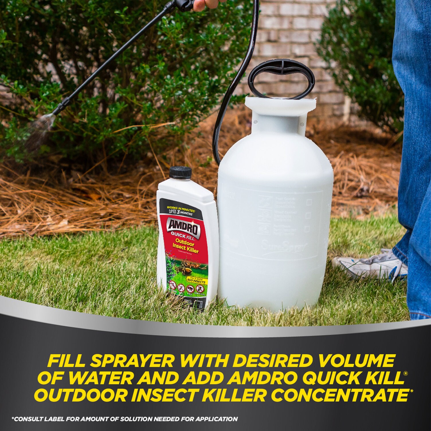 AMDRO Quick Kill Outdoor 32-fl oz Concentrate Insect Killer in the ...