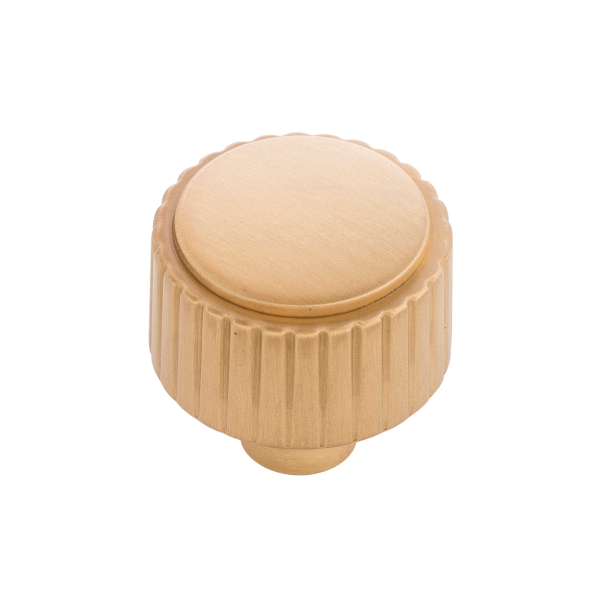 Belwith Keeler B076883-BGB Sinclaire 1-1/4-in Brushed Golden Brass Cylindrical Transitional Cabinet Knob