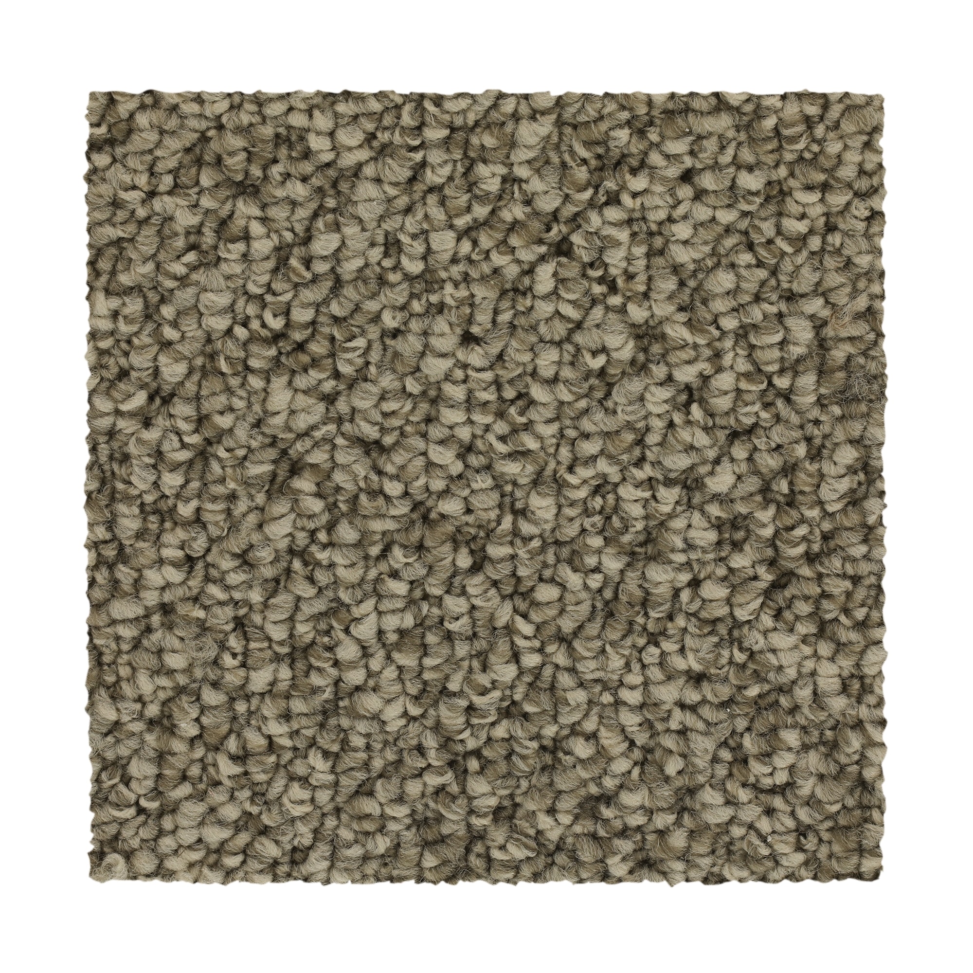 Mohawk SS027-L003-0808 (Sample) Pro Renovations- Shaded Solace Pro Truffle Brown 25-oz sq yard Solution-dyed Polyester Pattern Indoor Carpet