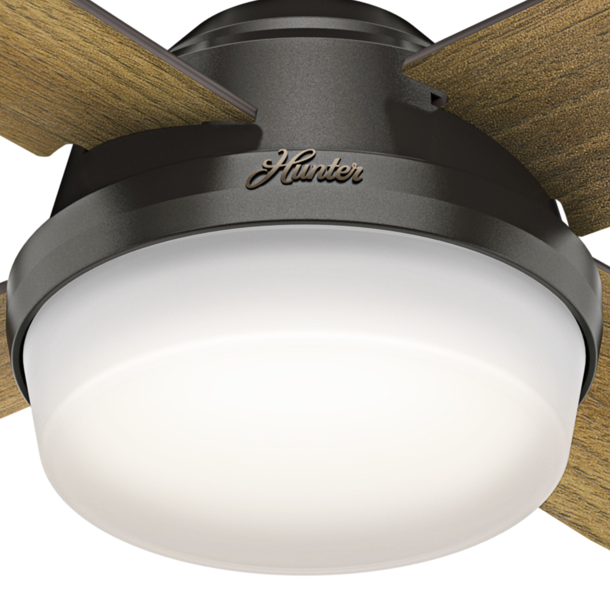 Hunter 59443 Ceiling-Fans - View #7