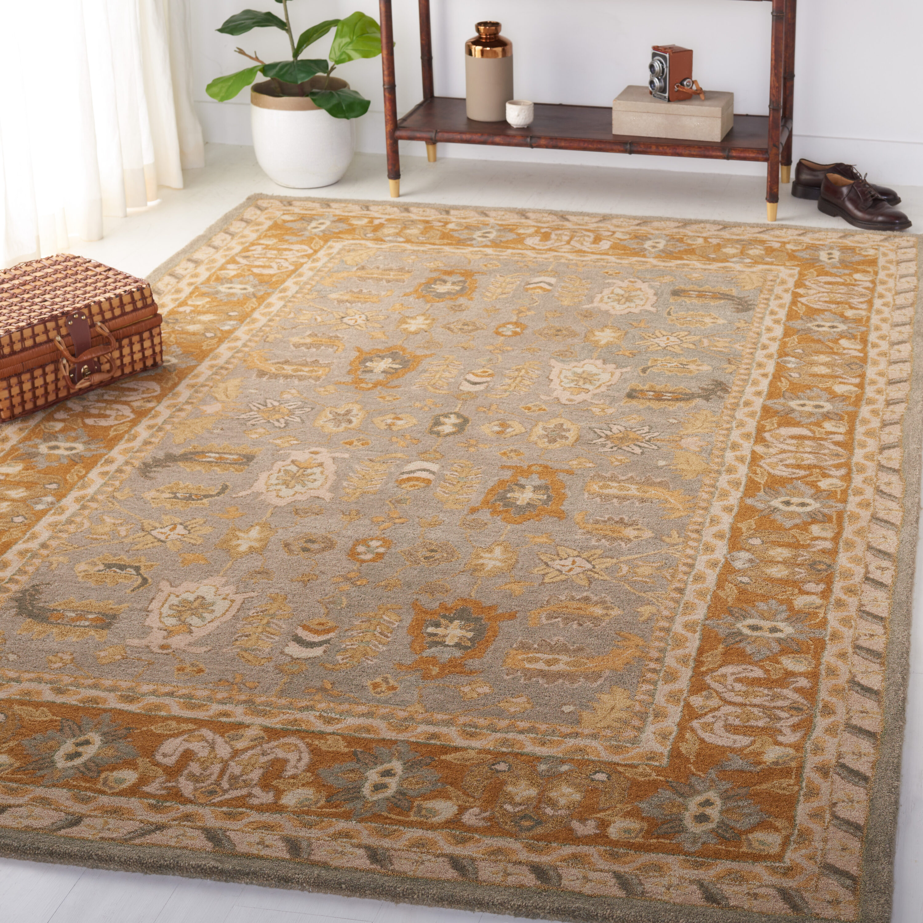 Safavieh AN590A-6 rugs - View #2