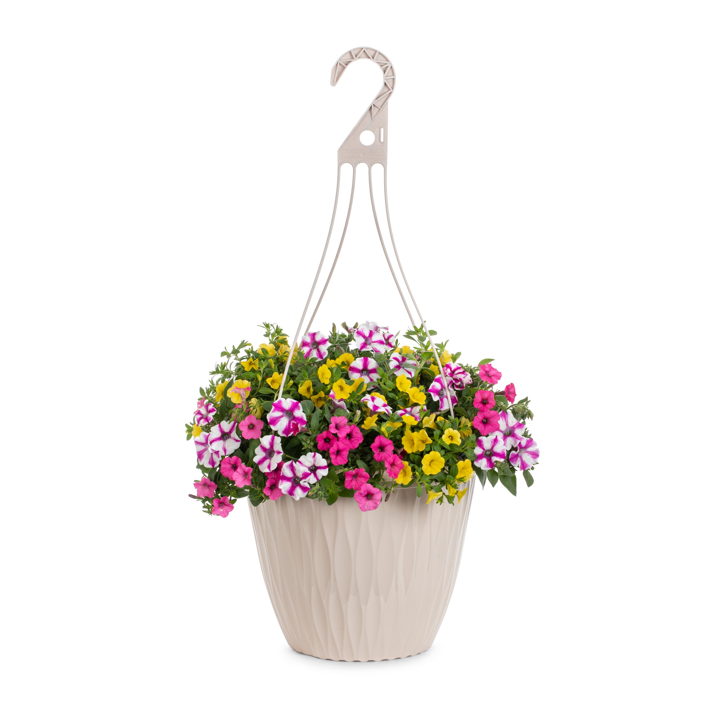 Lowe's Multicolor Petunia, Calibrachoa In 2.5-gallon Hanging Basket In 