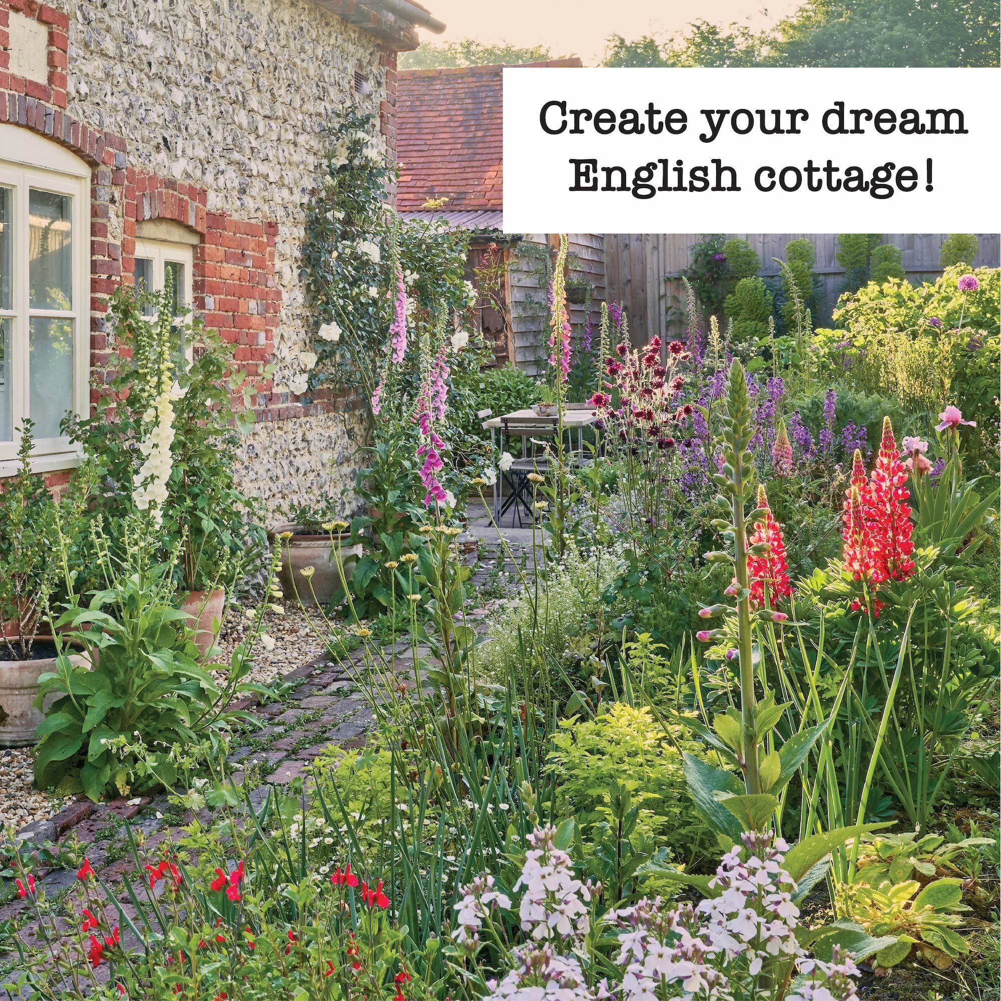 Ferry-Morse Ferry Morse English Cottage Perennial Garden Seed