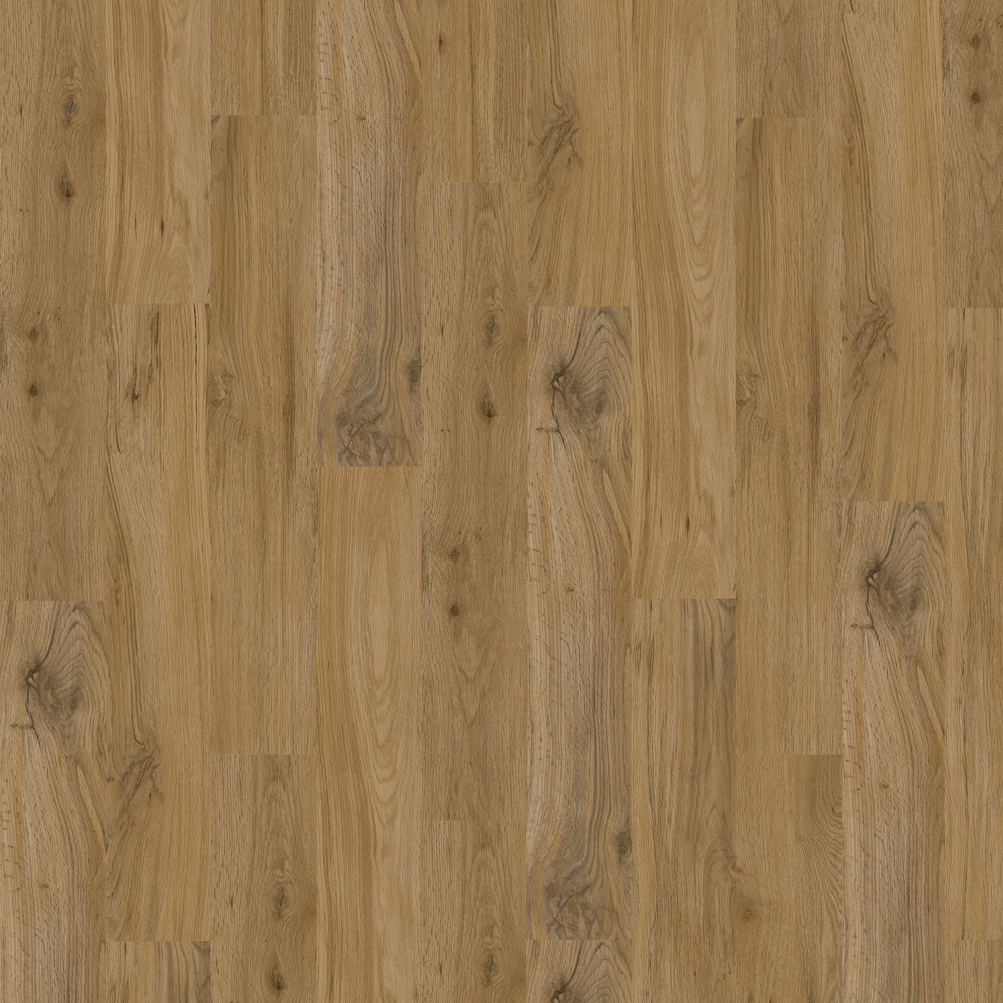 earthwerks EVN-543TS Vinyl-Plank - View #2