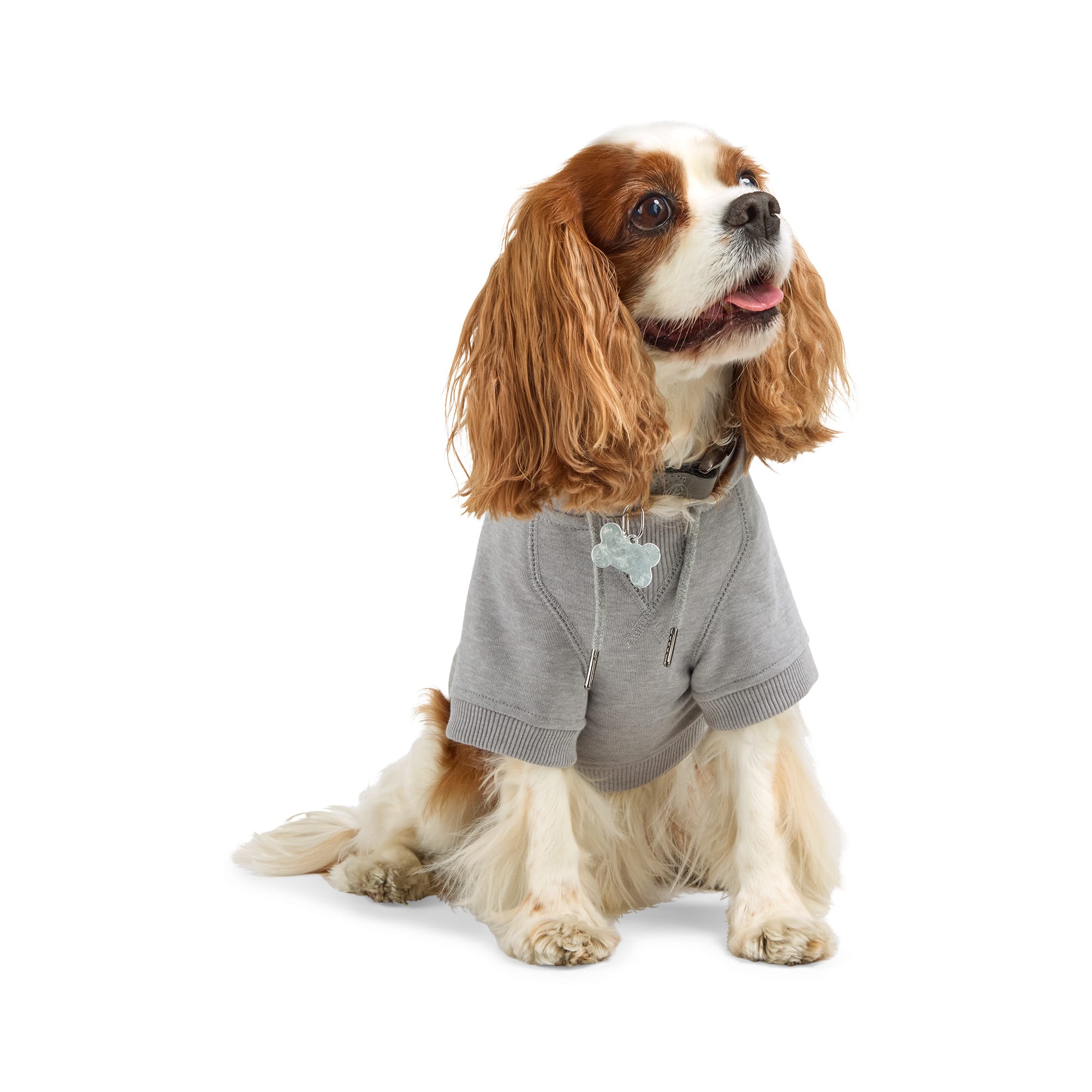 Reddy PTY-24030504SM Dog-Clothing-Acc - View #3