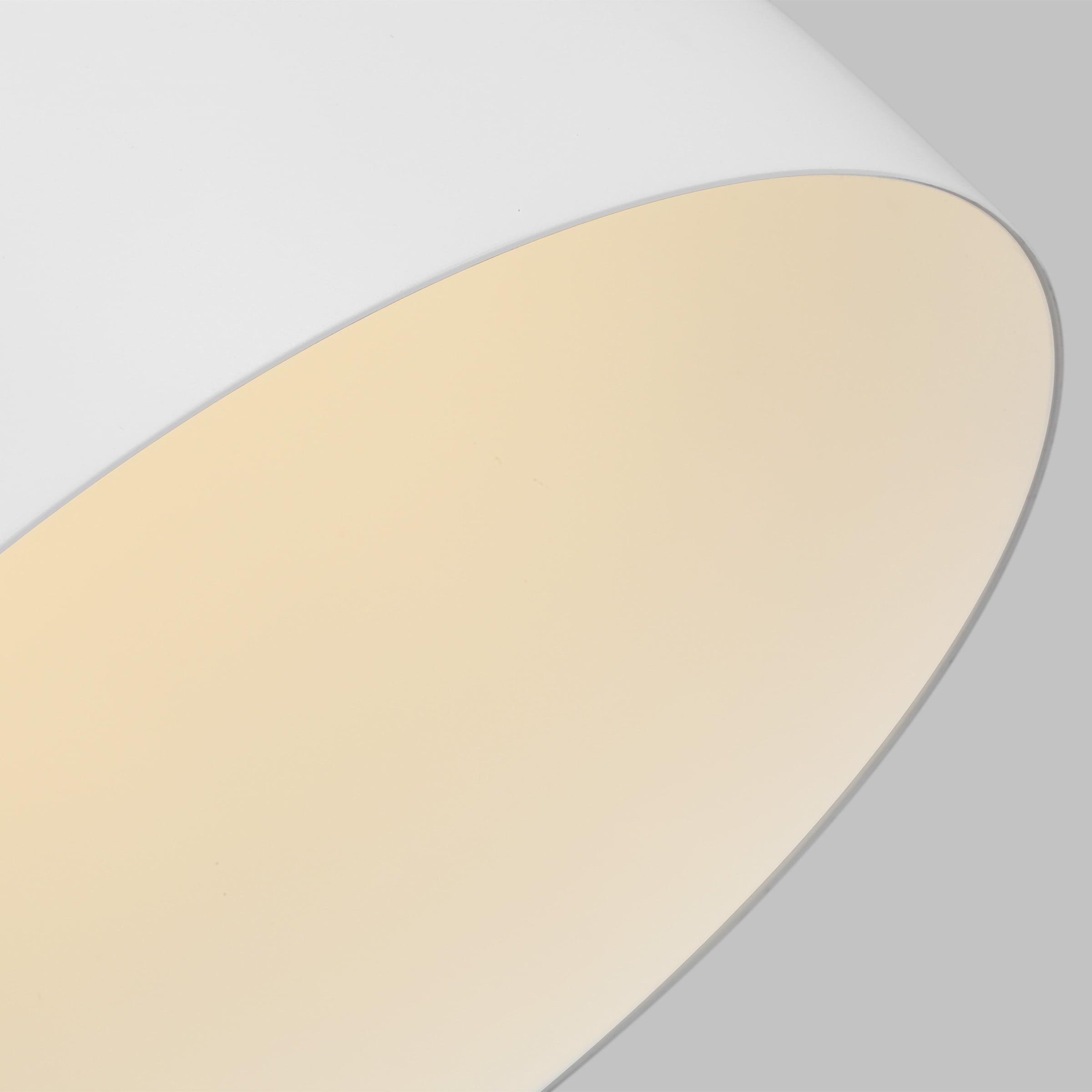 Matte White Steel Indoor/Outdoor Bowl Pendant Light