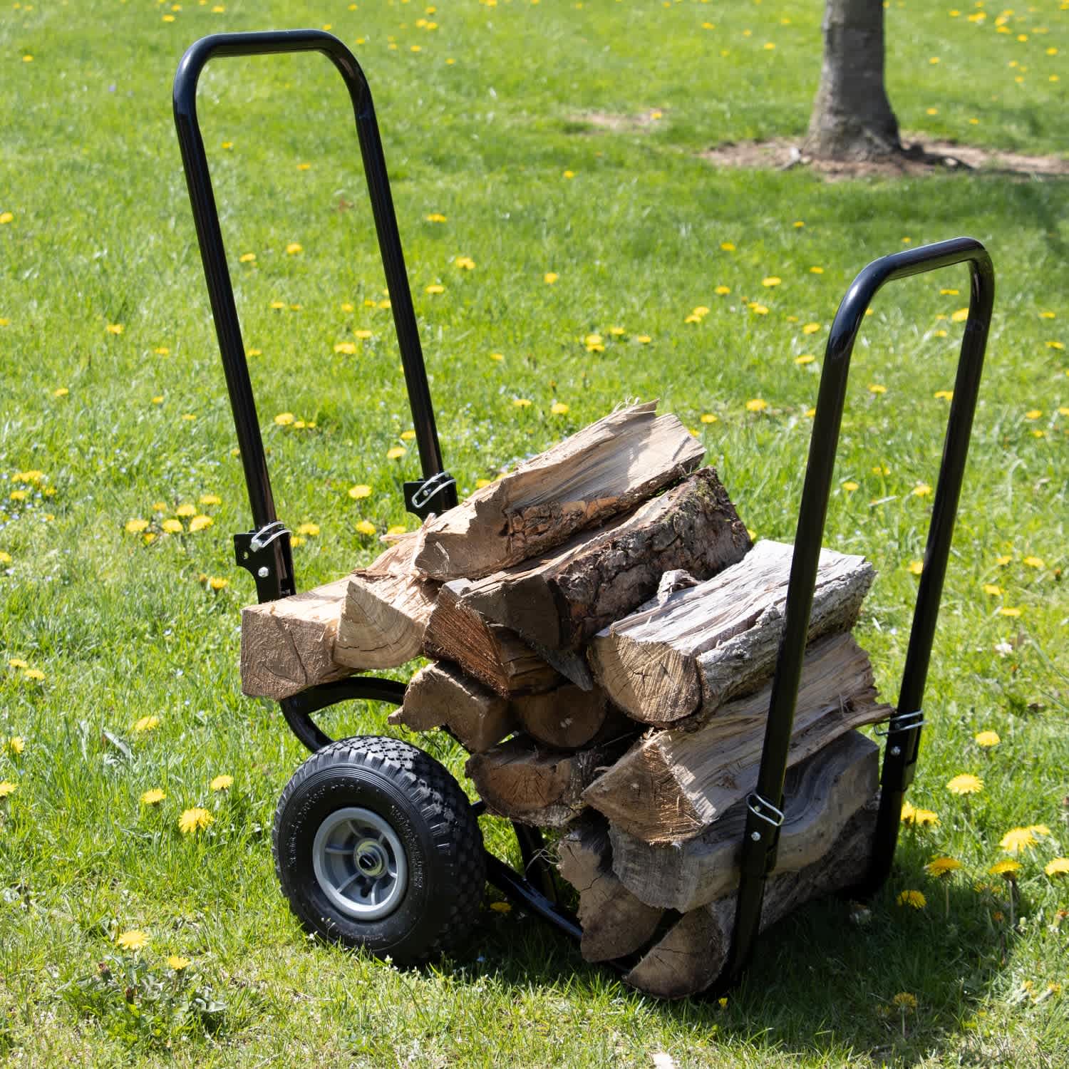 Lehman's FWB-006 wheelbarrow - View #4