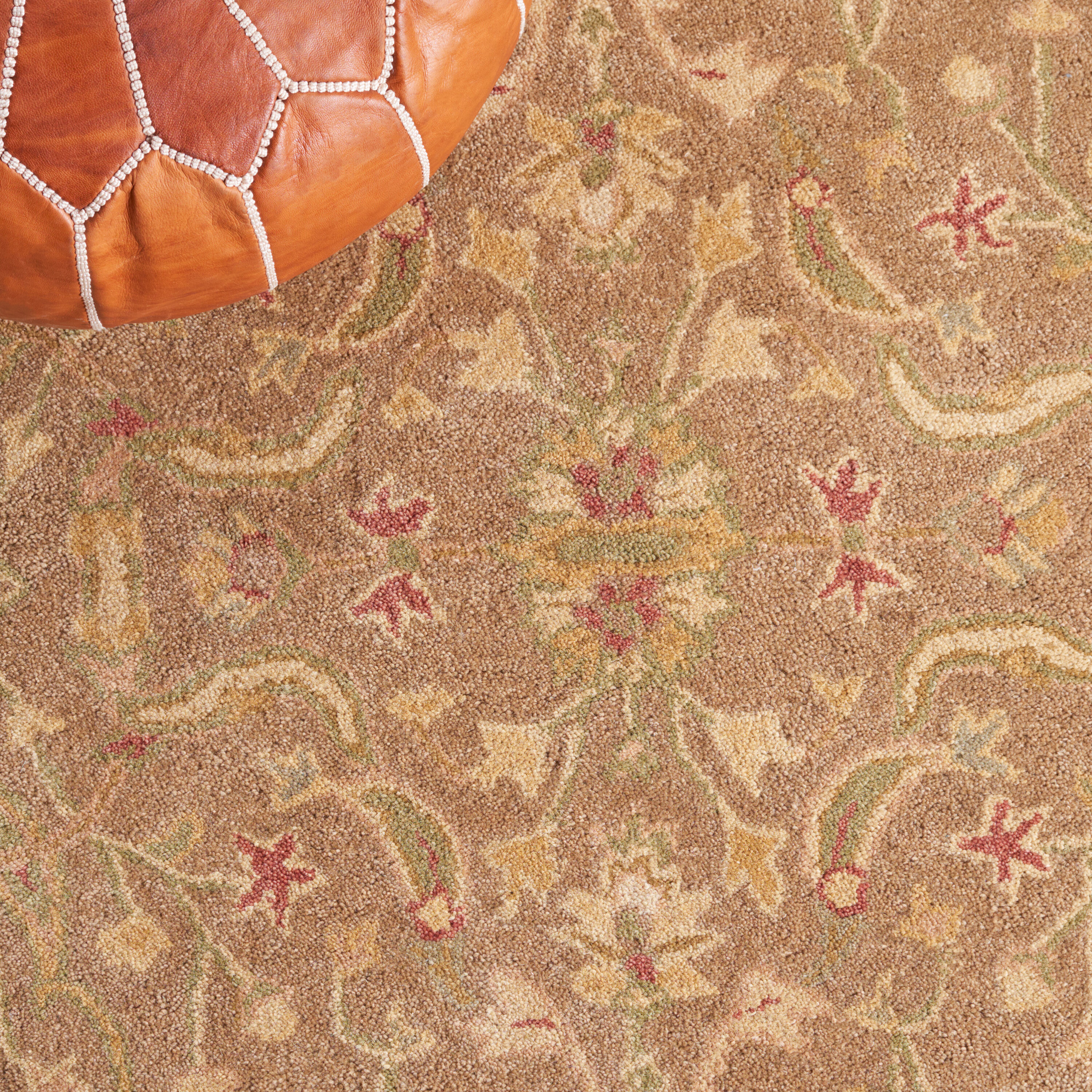 Safavieh AT311A-10 rugs - View #7