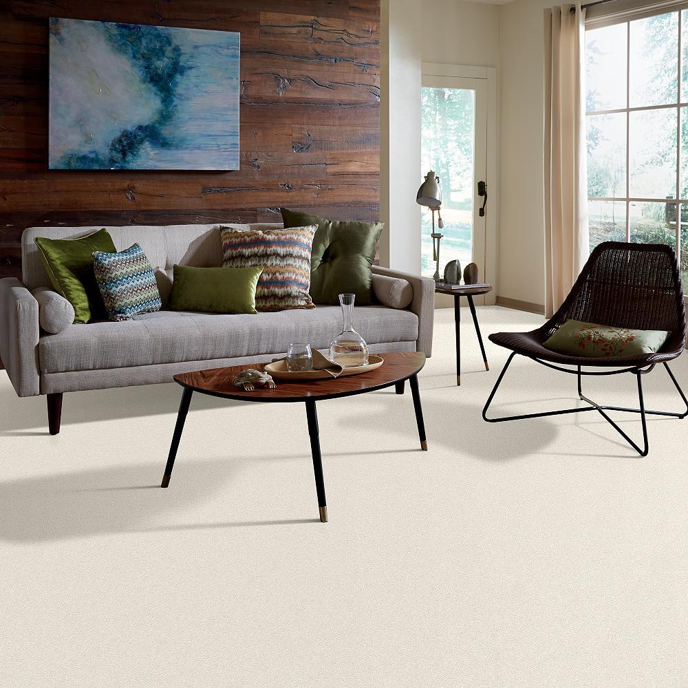 STAINMASTER 7L61100102  - View #5
