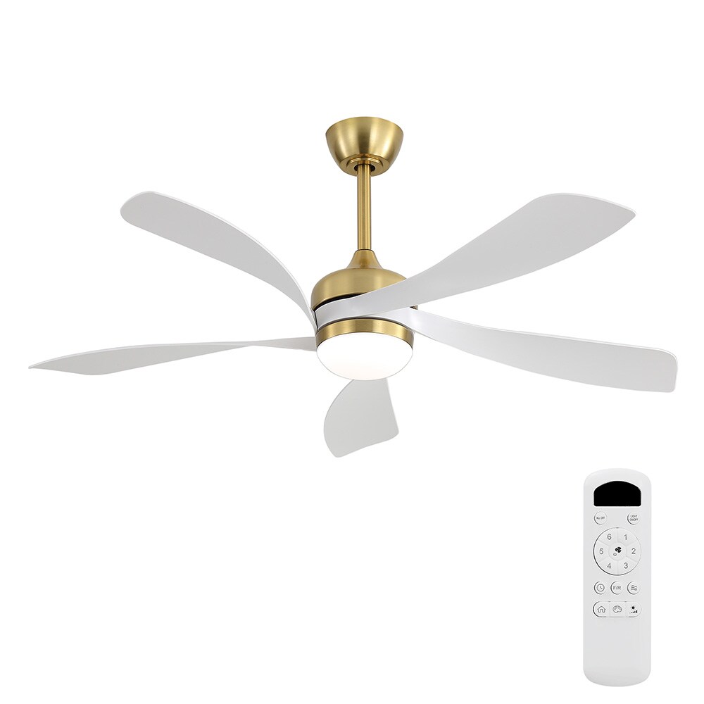 Sofucor LW-52K096-BG-WH Ceiling-Fans - View #6