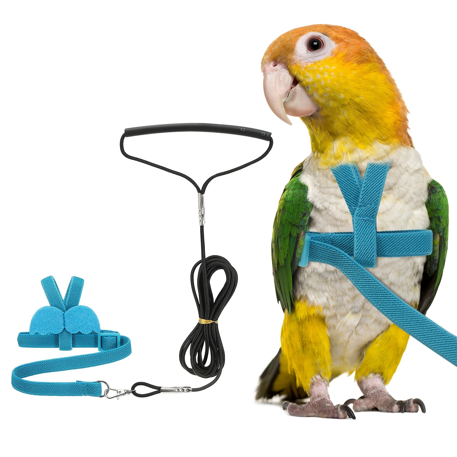 Unique Bargains Bird Harness Leash Adjustable Pet Parrot Bird Harness and Leash Lightweight Anti-Bite Flight Training Rope with Cute Wing (Blue XS) Intended for Parrots/Pigeons/Budgies