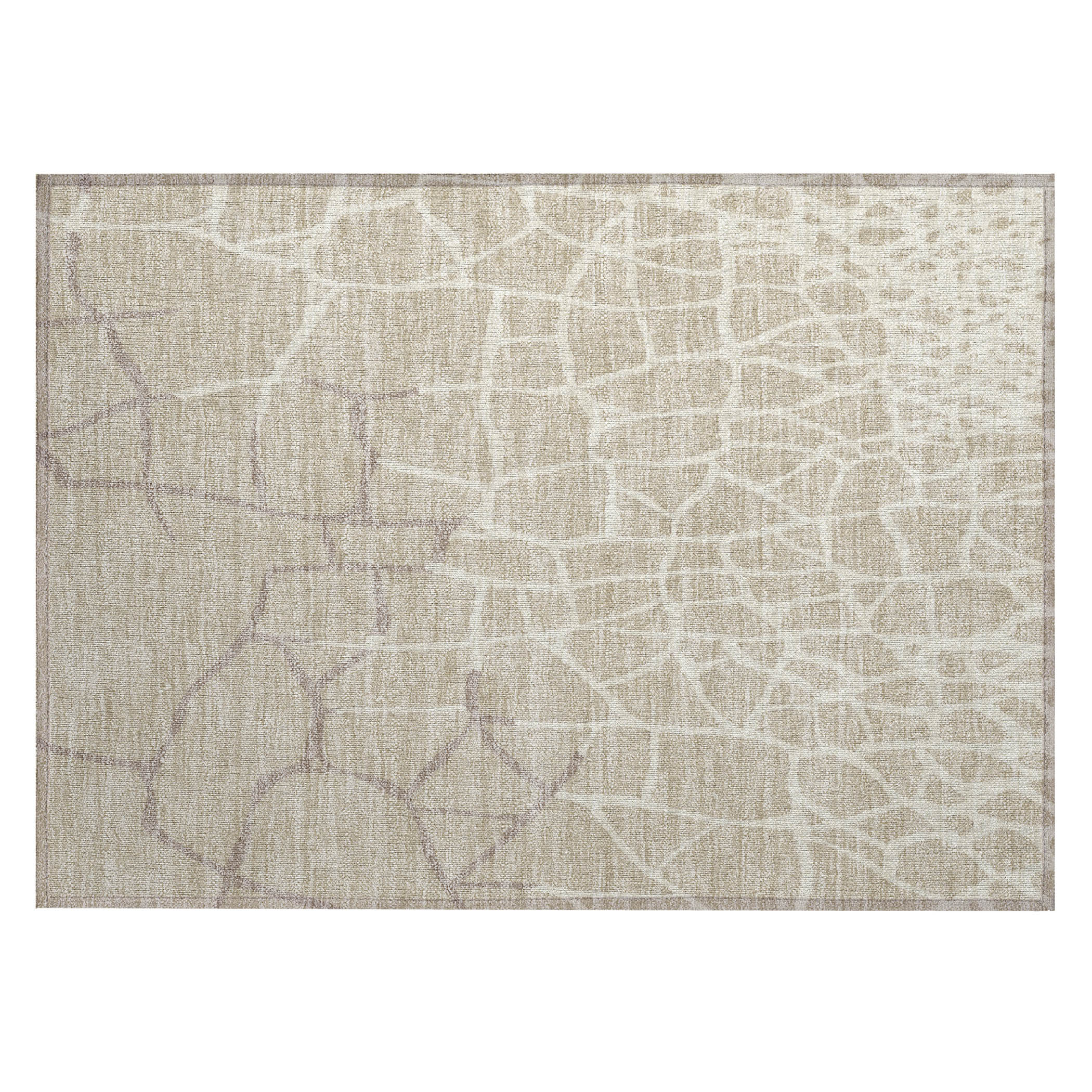 Addison Rugs ACN1049BG20X30 rugs - View #2