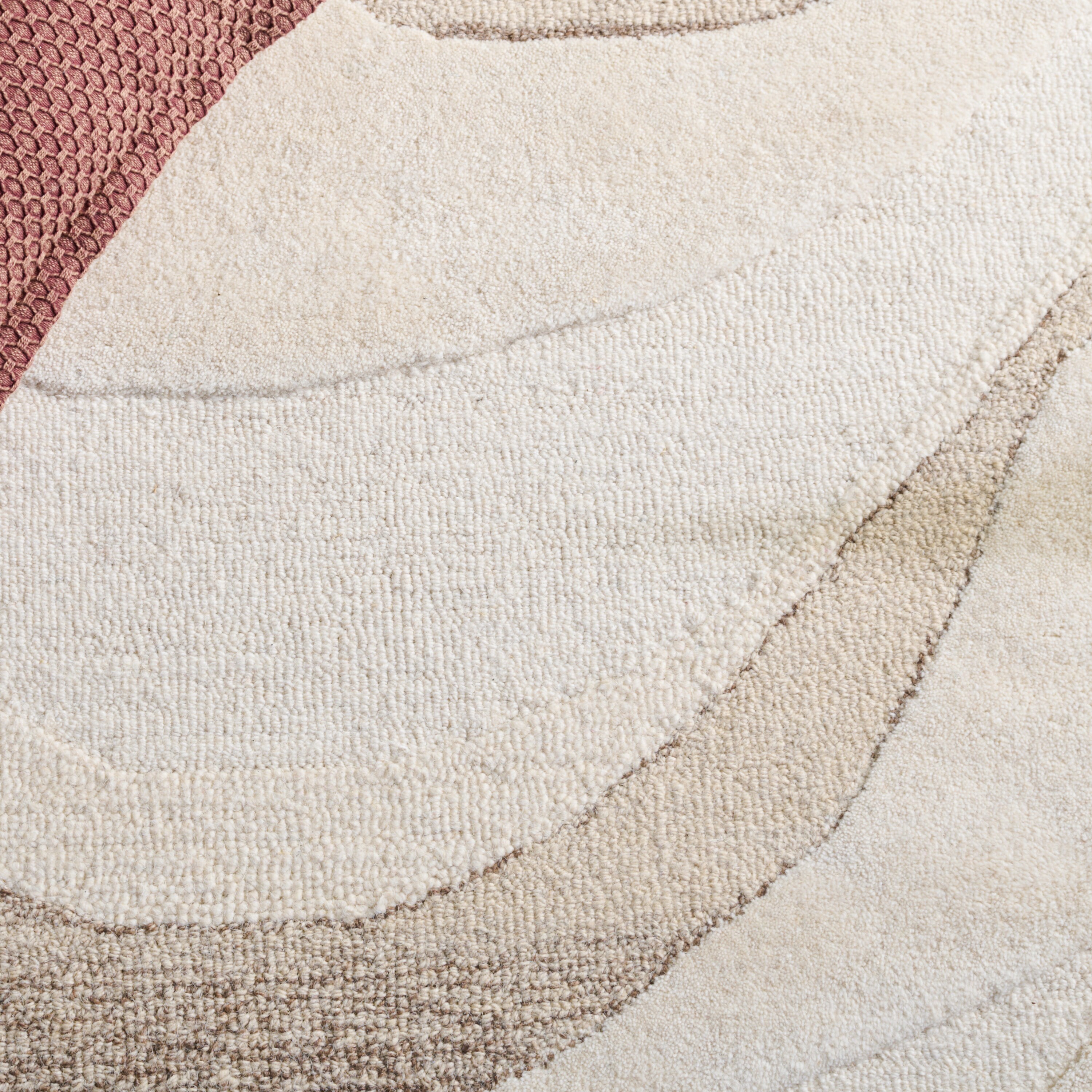 Safavieh FTV901A-8 rugs - View #5