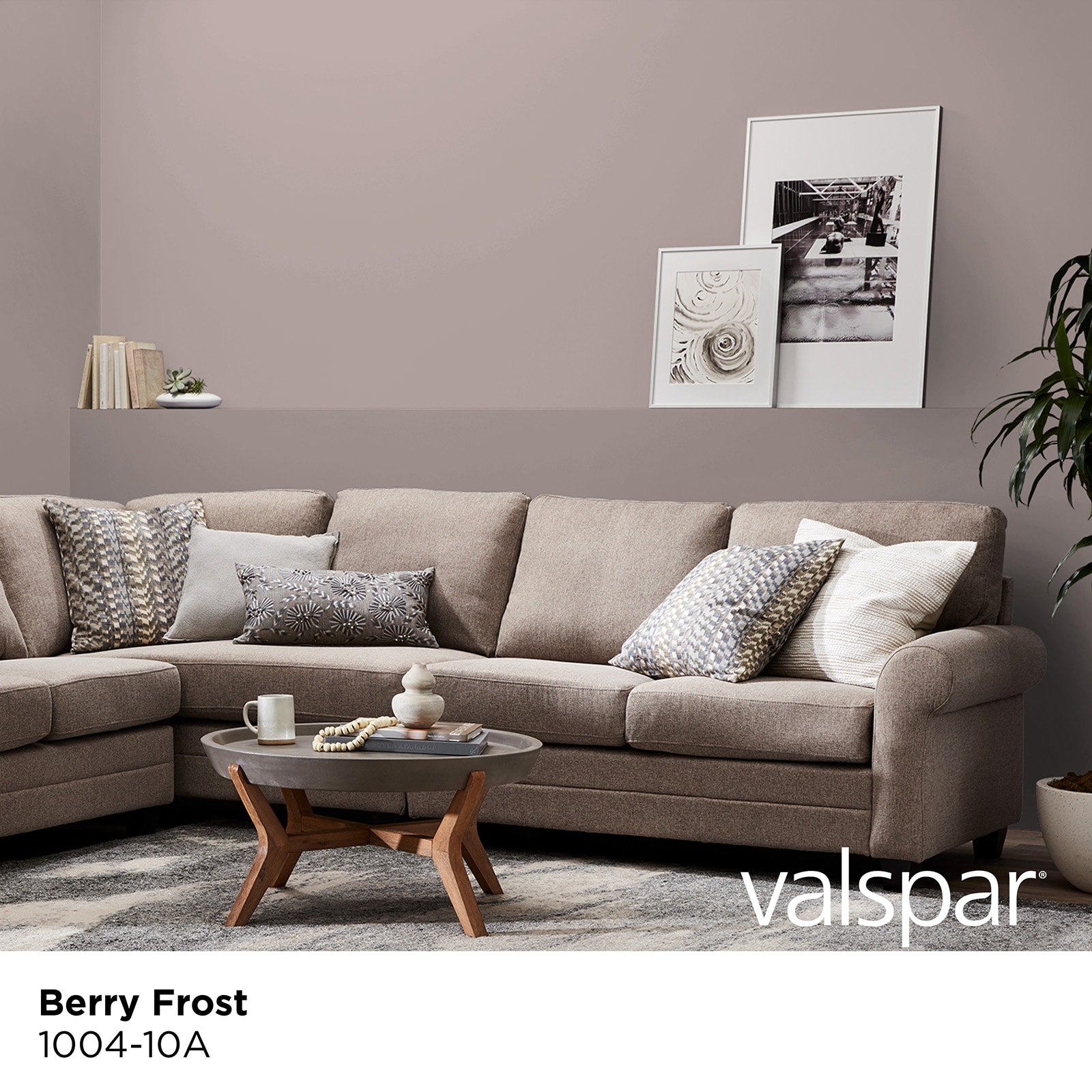 Valspar 1004-10A-2916571 Int-Ext-Paint - View #2