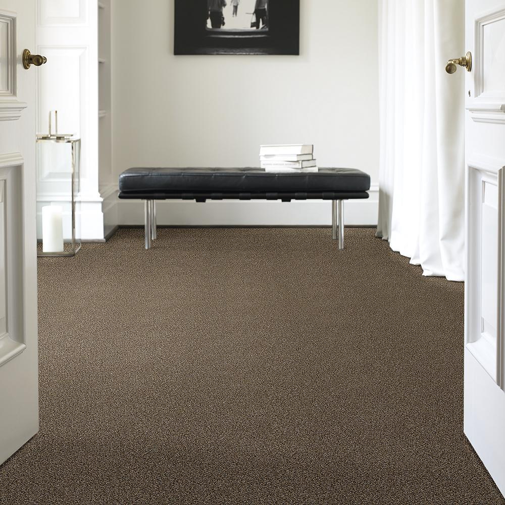 STAINMASTER 7L69700725 Carpet-Panel - View #2