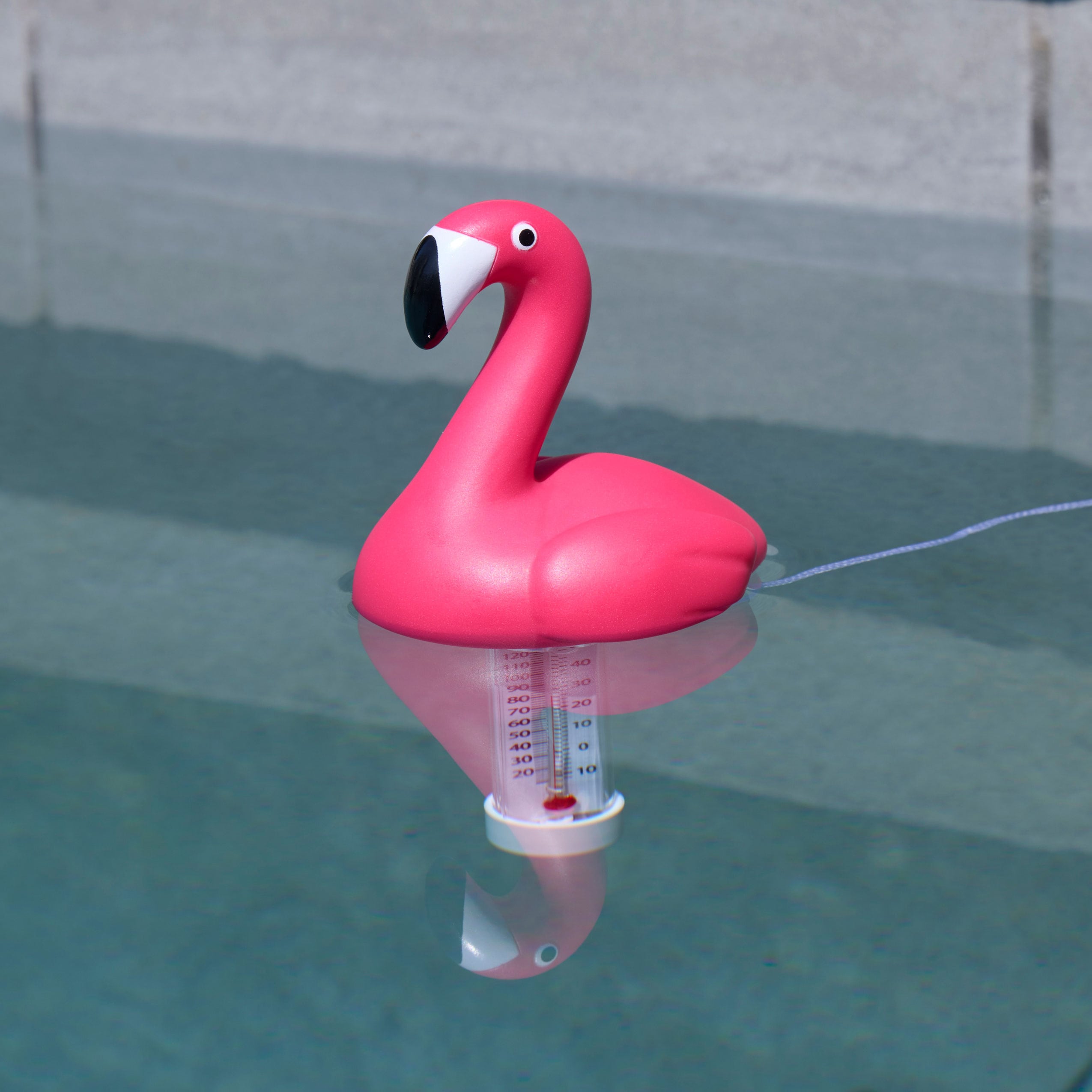 Project Source TF225MIX-PS Pool-Thermometers - View #3