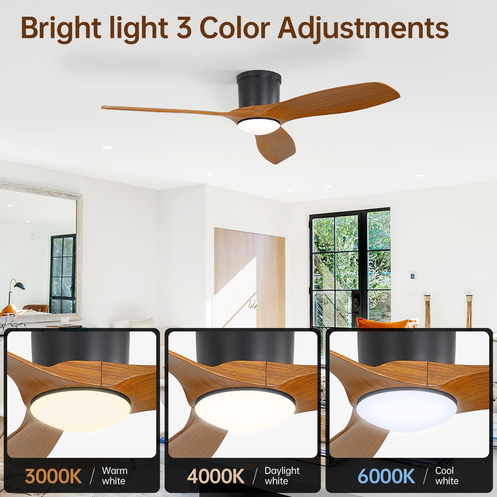 RCCFBHM RCCFBHM-FSDFS13239 Ceiling-Fans - View #10