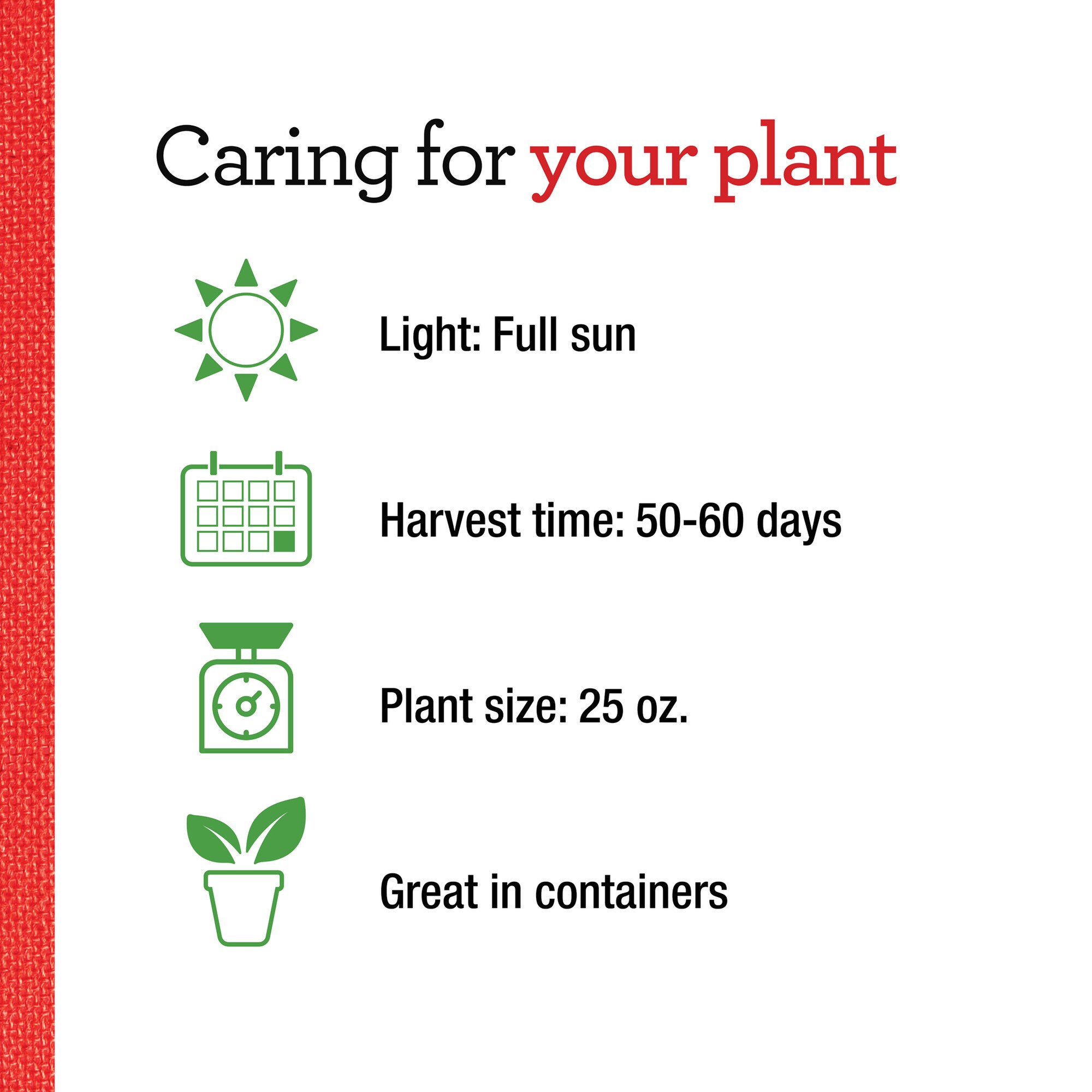 Bonnie Plants 202053 Vegetable-Plants - View #5
