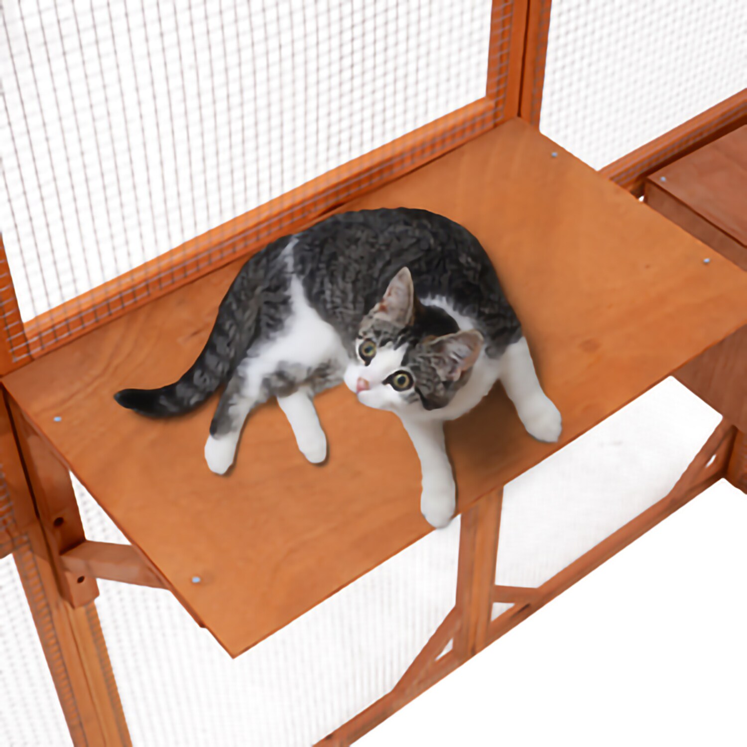 MIDHAM AMKF150142-01 Dog-Houses - View #2