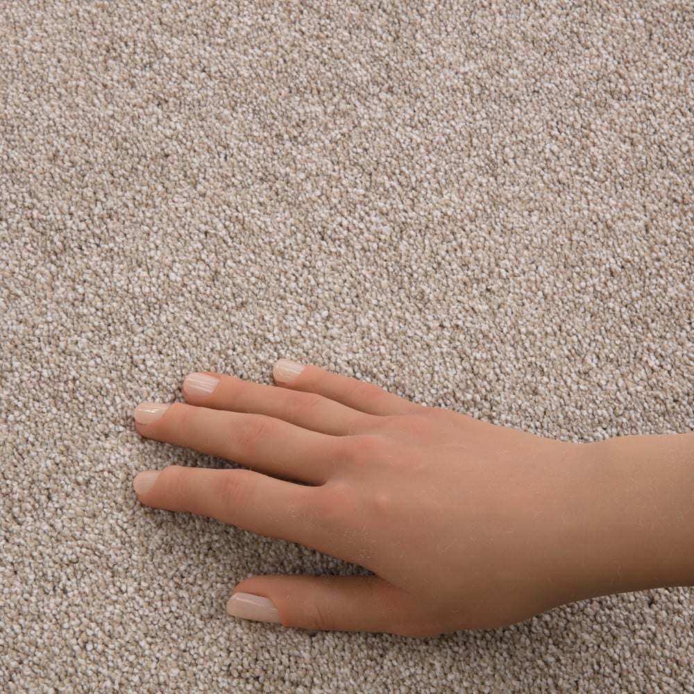 STAINMASTER PetProtect 7L938-720-SAMP Carpet-Samples - View #4